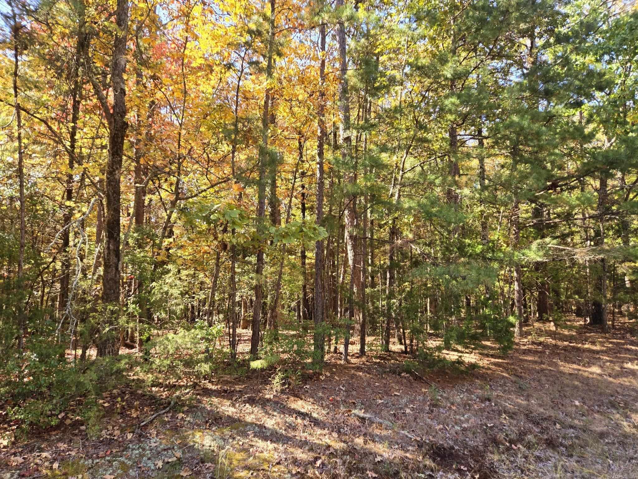 Lot 149  Grenada Circle  Fairfield Bay, AR