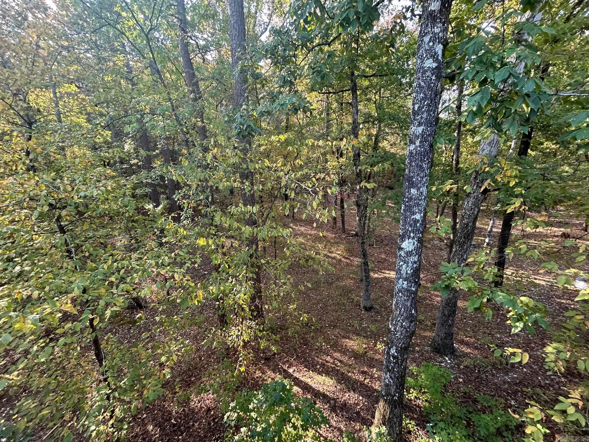 21 Encantado Lane Hot Springs Village, AR 71909