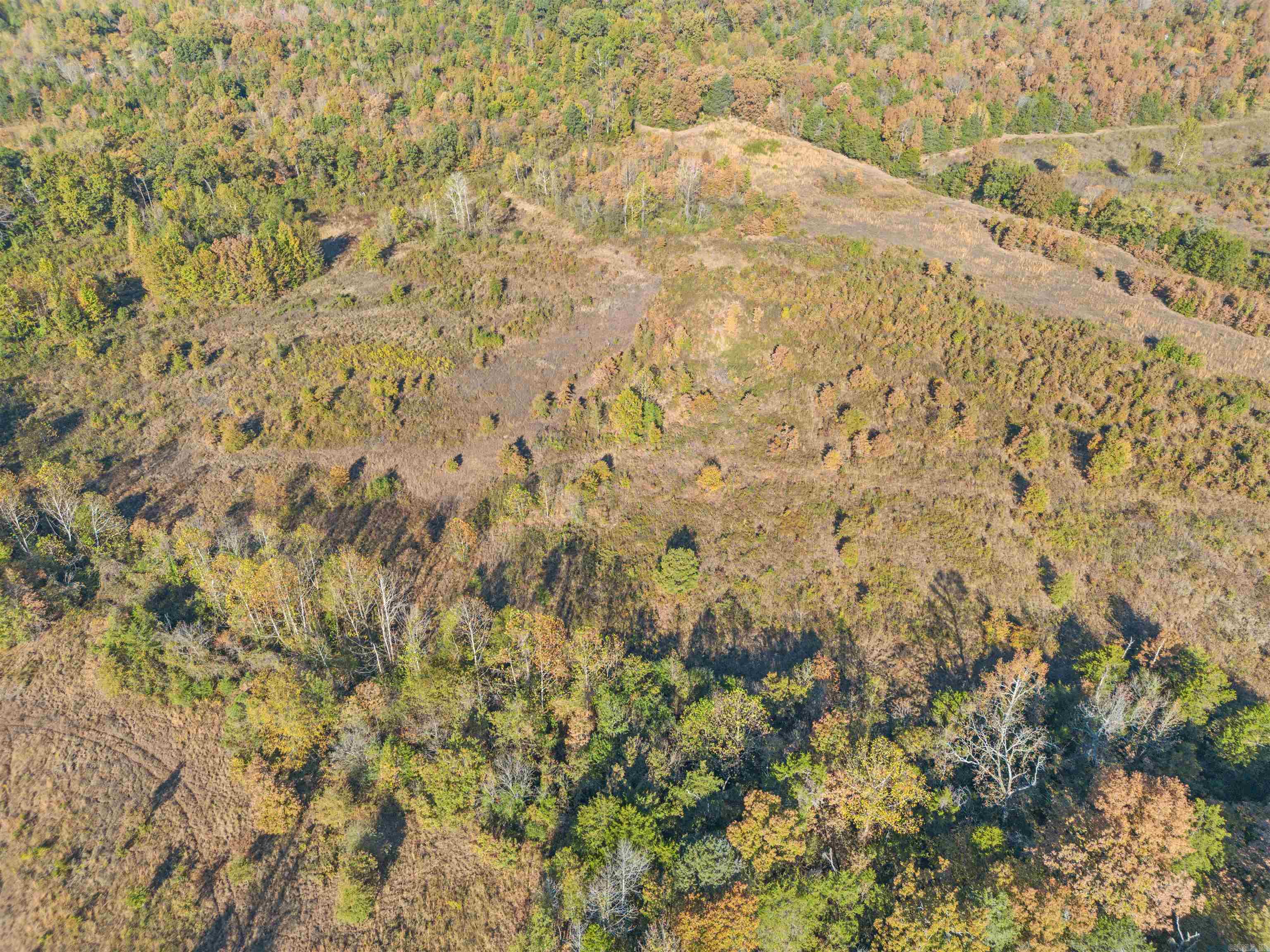 401  Devils Creek  Hattieville, AR
