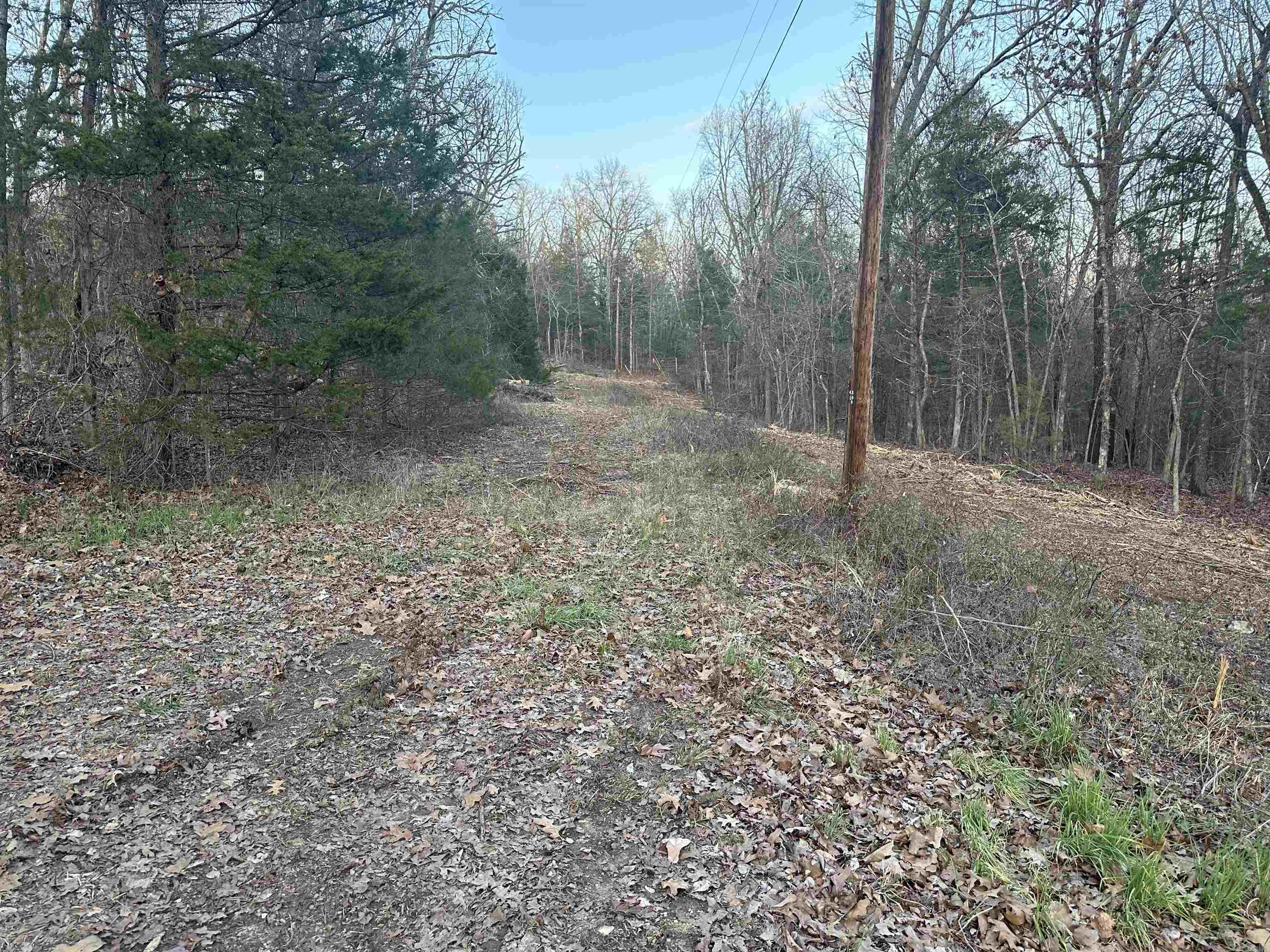 Lots 7,9,11,13,  15, 17, 19 Sleepy Hollow Subdivision  Henderson, AR