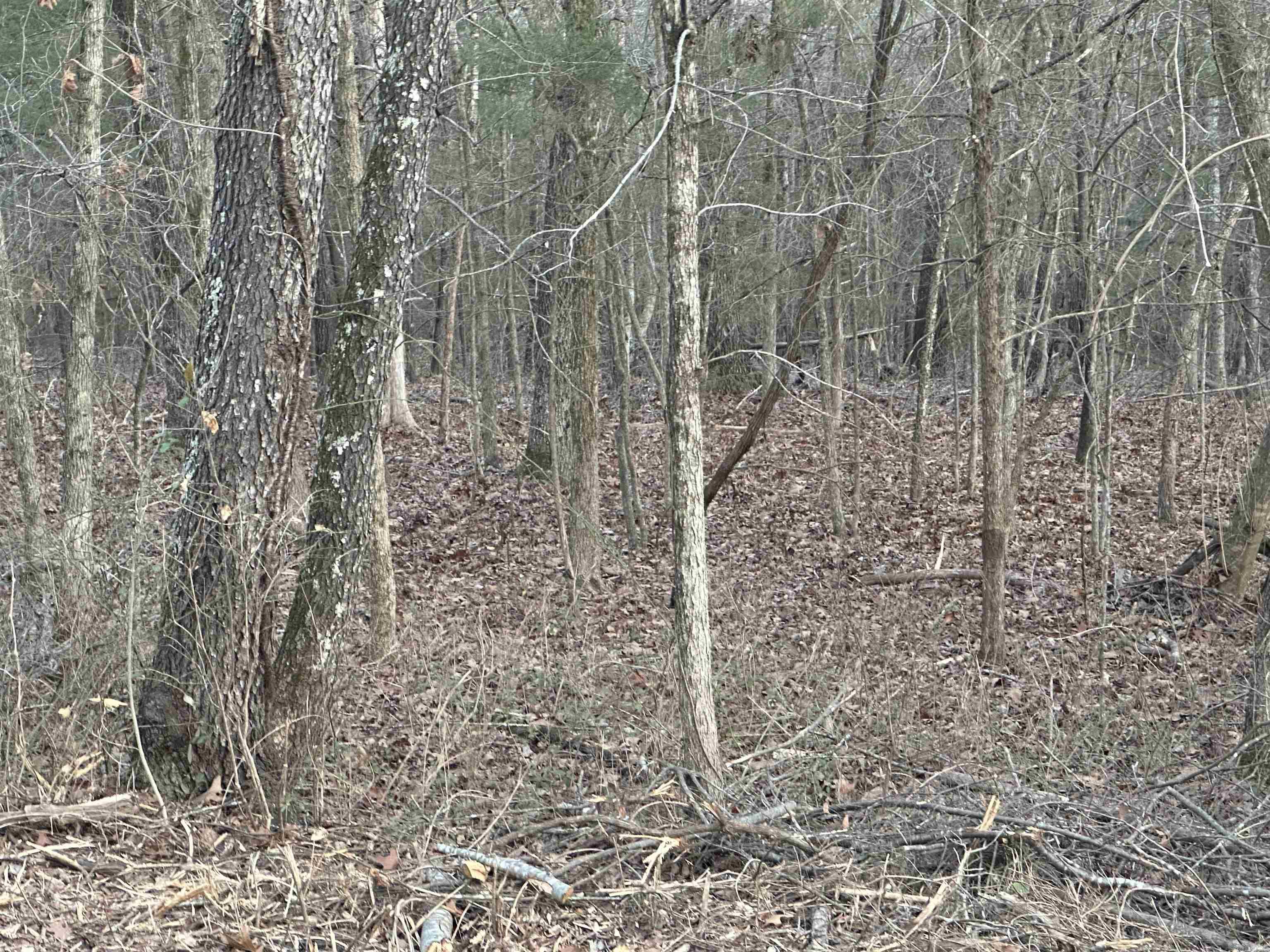 Lots 7,9,11,13,  15, 17, 19 Sleepy Hollow Subdivision  Henderson, AR