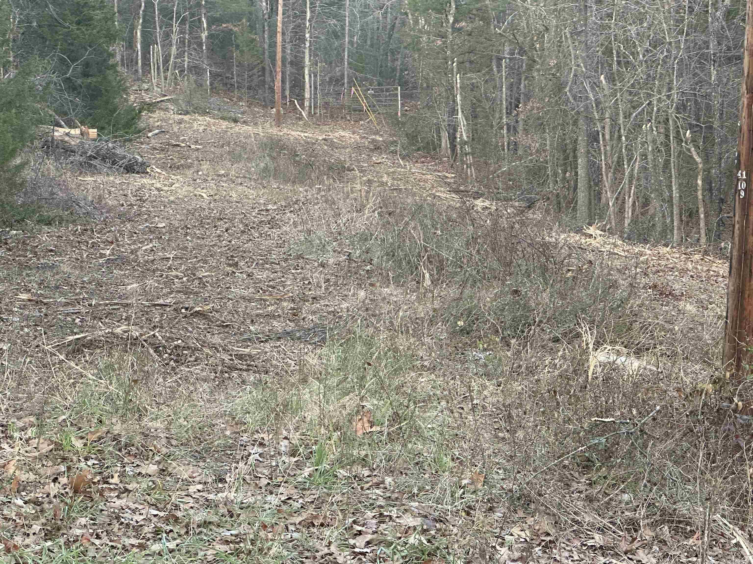 Lots 7,9,11,13,  15, 17, 19 Sleepy Hollow Subdivision  Henderson, AR