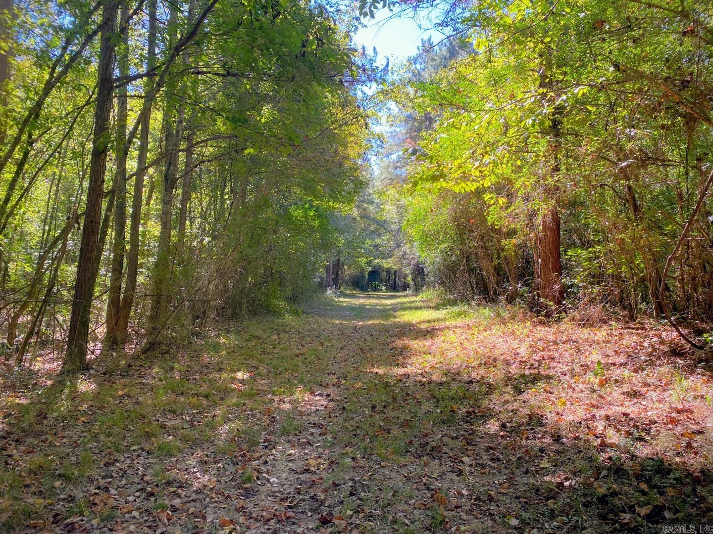 000  Dallas 273  Sparkman, AR