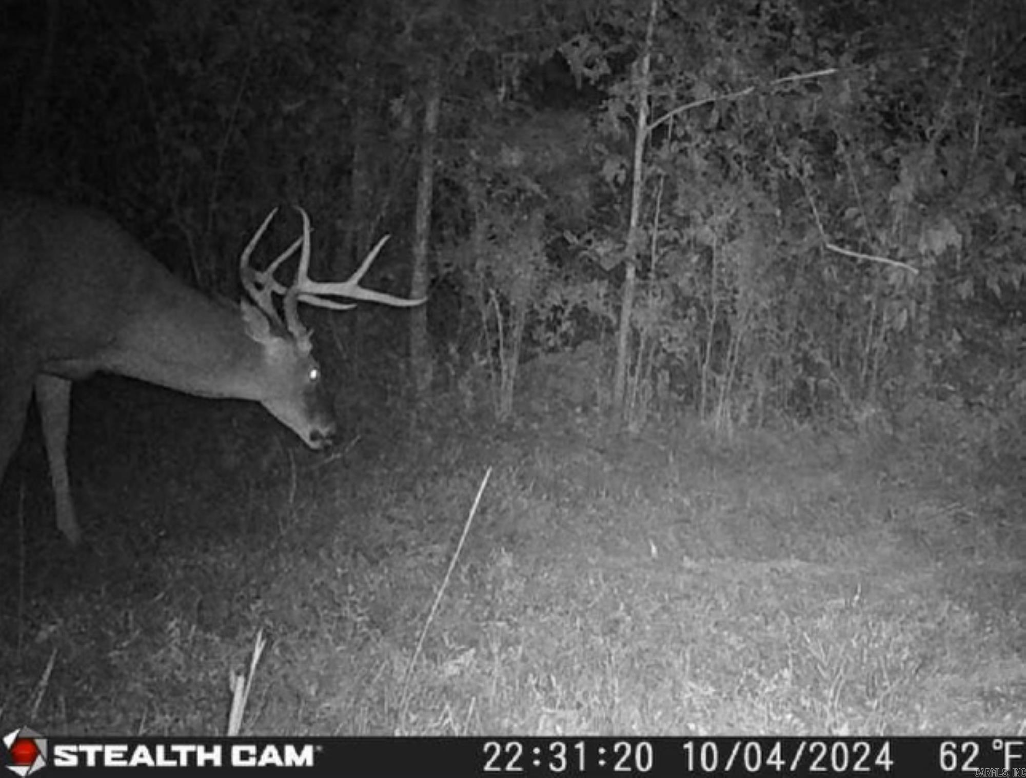 000  Dallas 273  Sparkman, AR