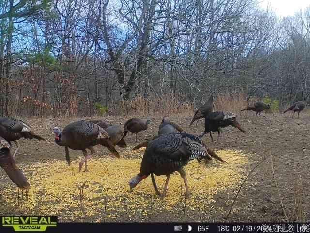 408 County Road 303  Cherry Valley, AR