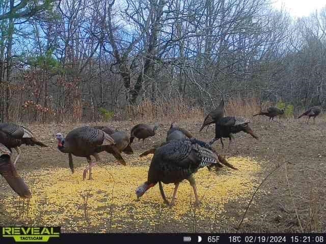 408  County Road 303  Cherry Valley, AR