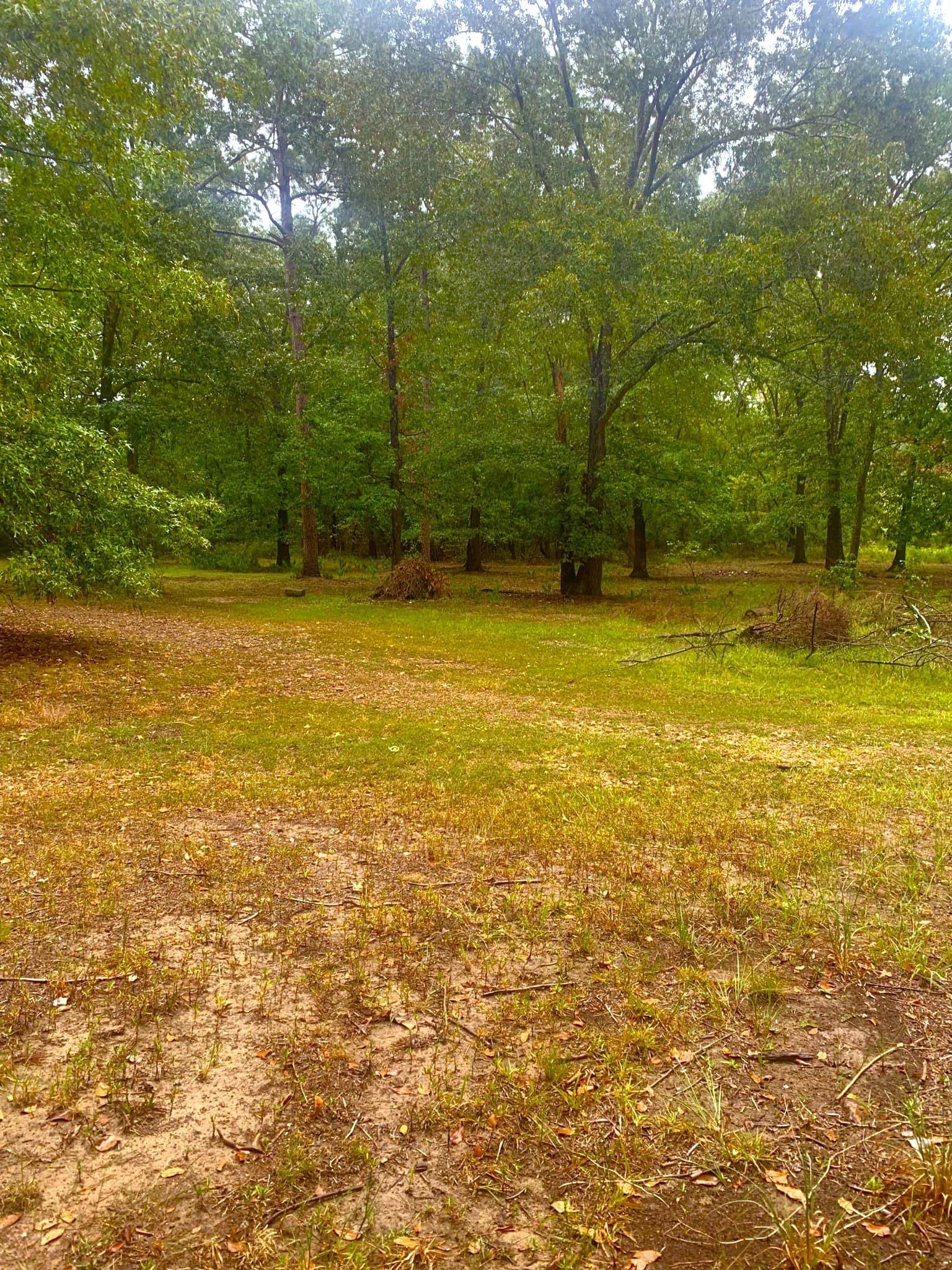 506  Hell Creek  Mountain View, AR