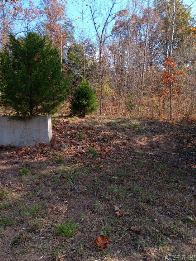 2404  MC 5010  Everton, AR