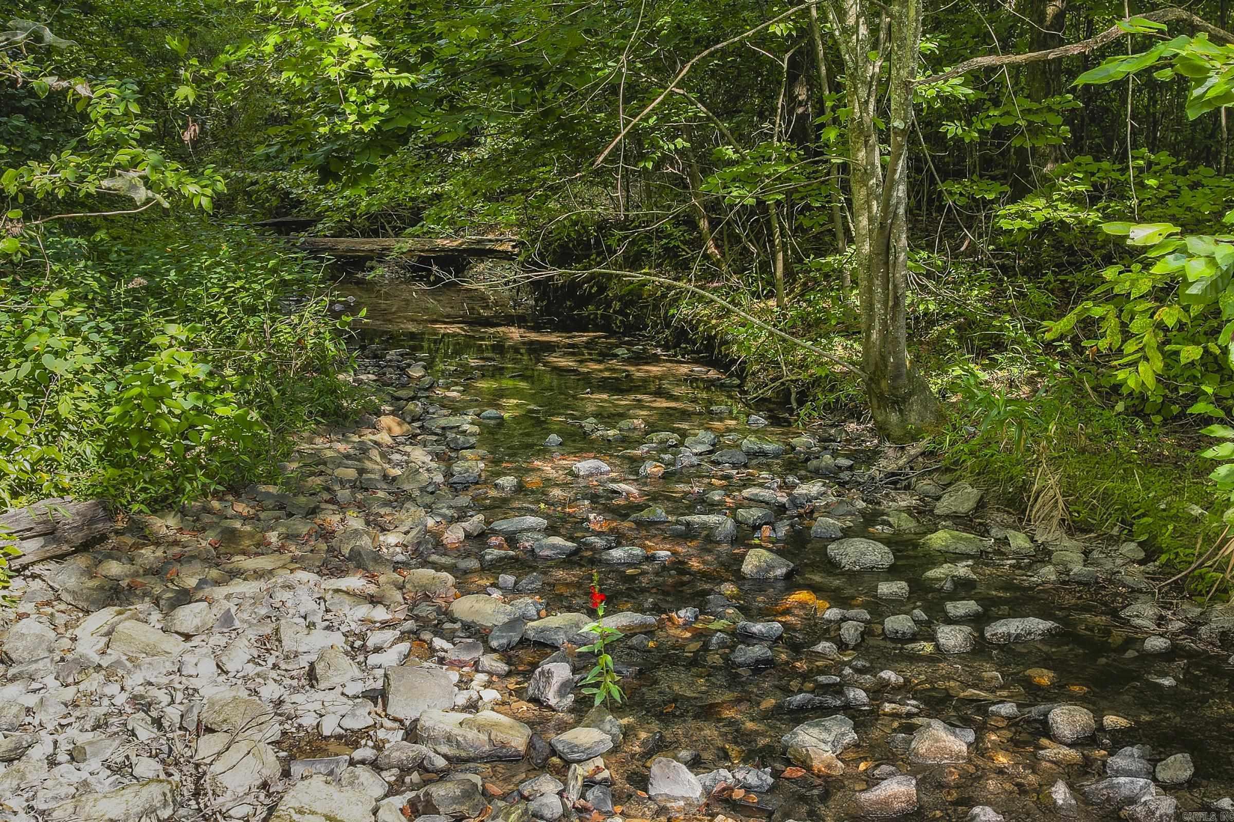 Tbd  N16E Private road  Mena, AR