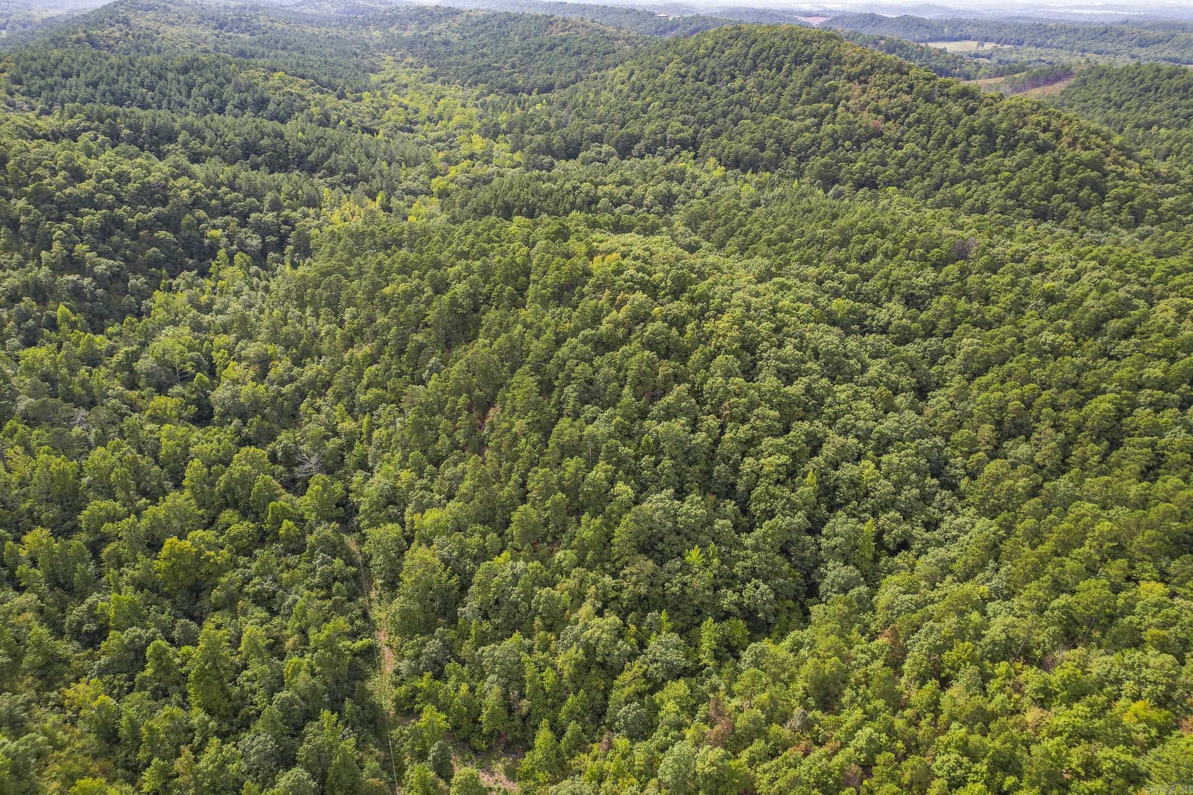 Tbd  N16E Private road  Mena, AR