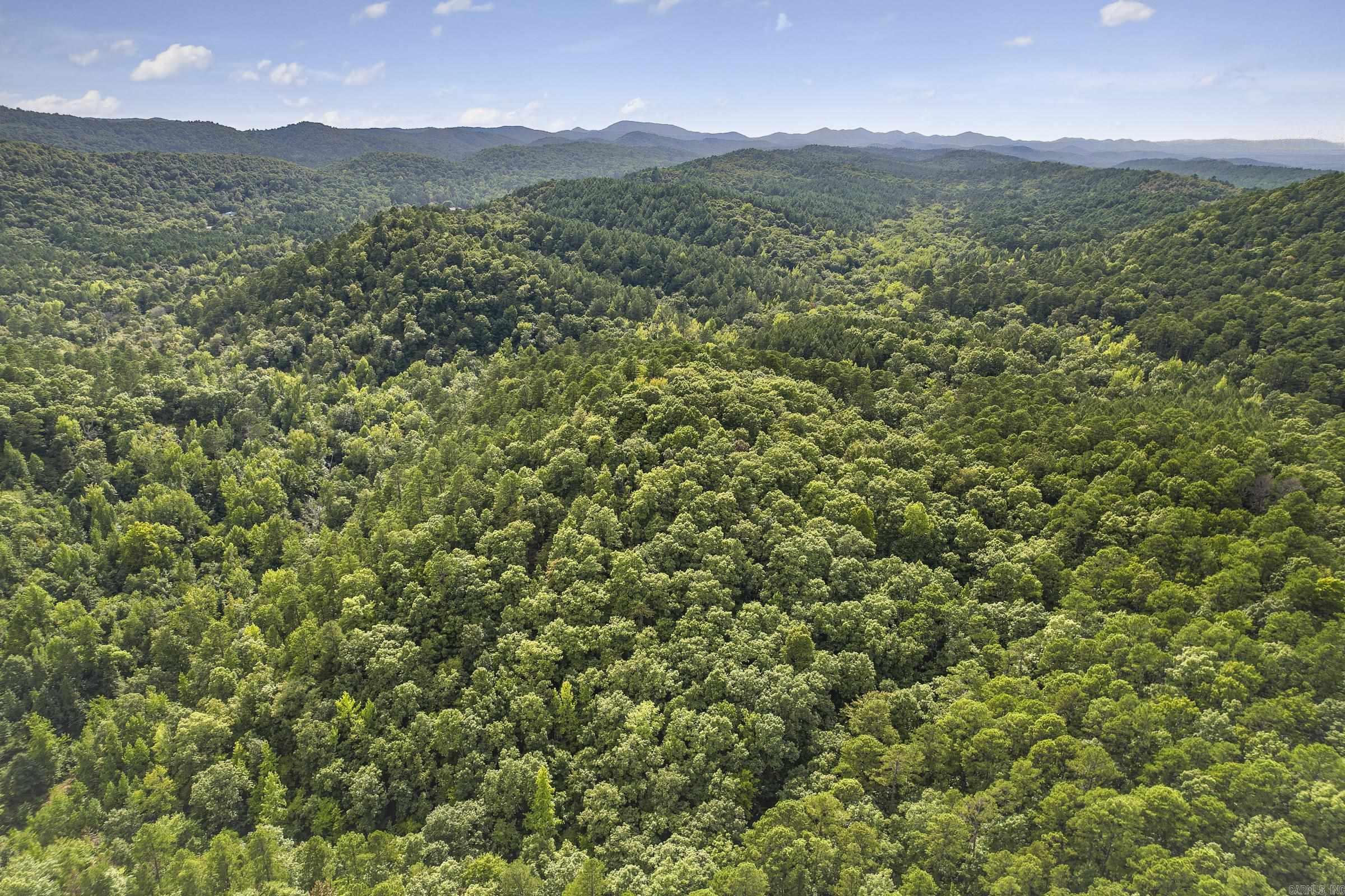 Tbd  N16E Private road  Mena, AR