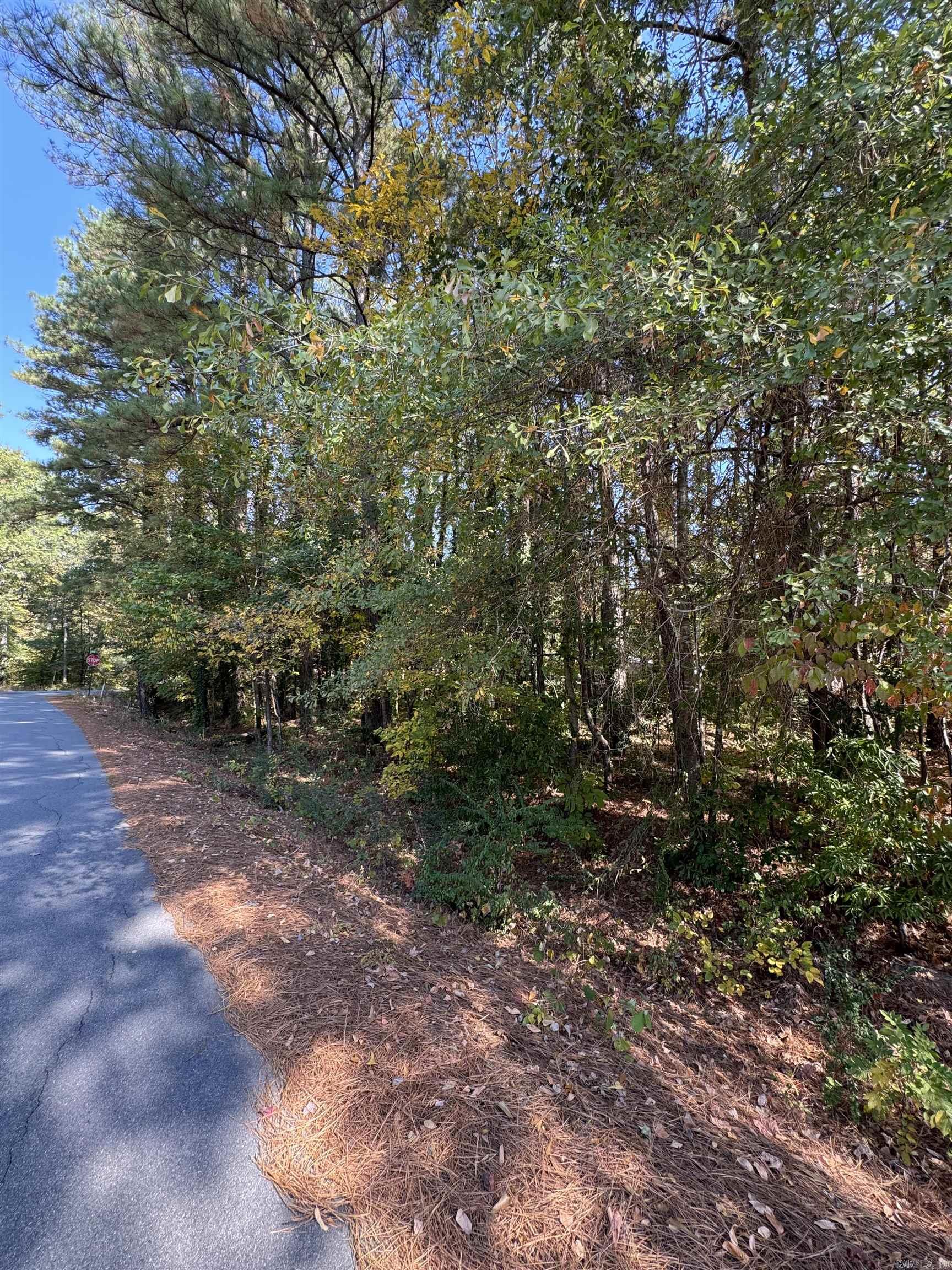 13765  Shamrock  Shannon Hills, AR