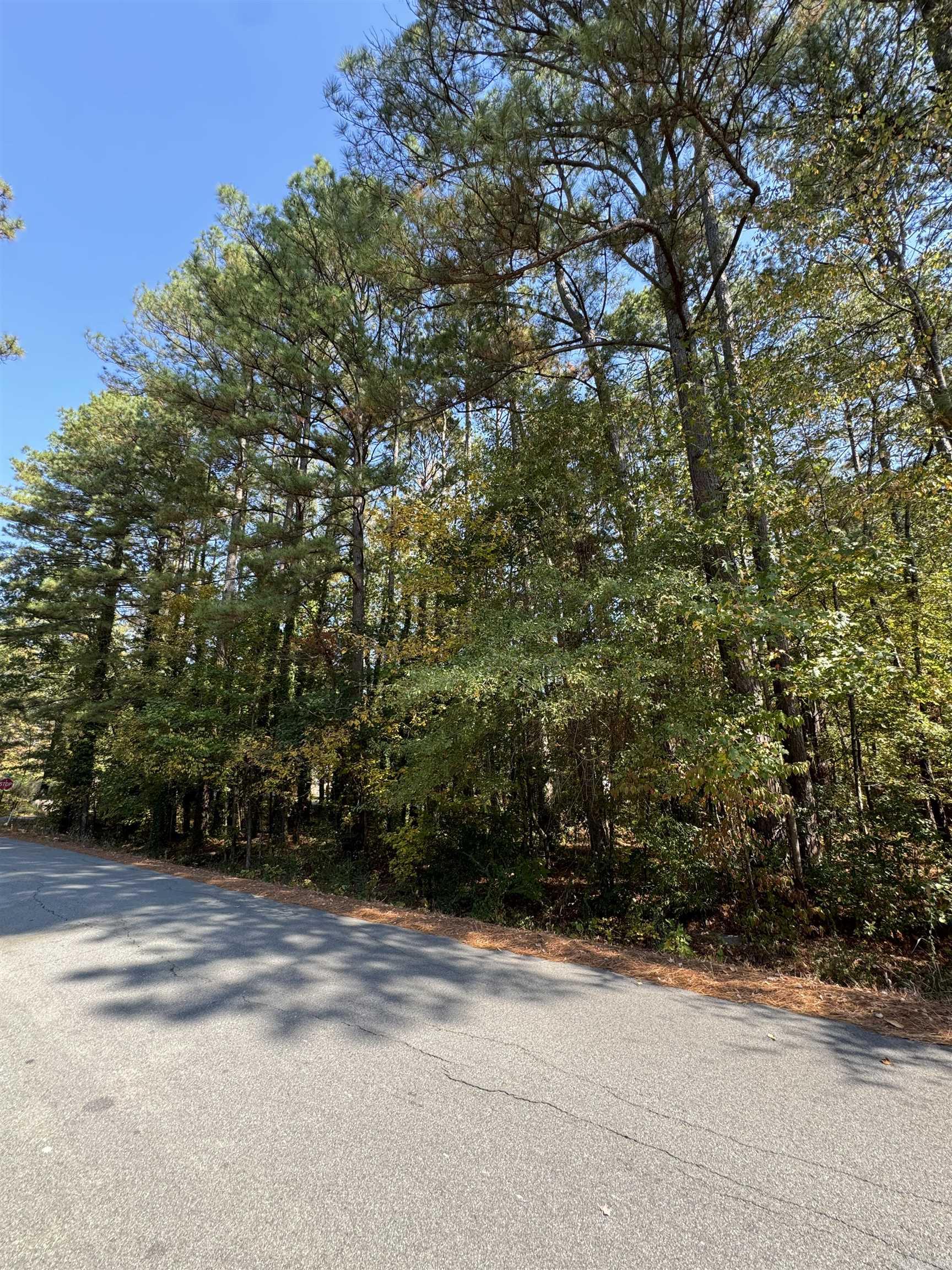 13765  Shamrock  Shannon Hills, AR