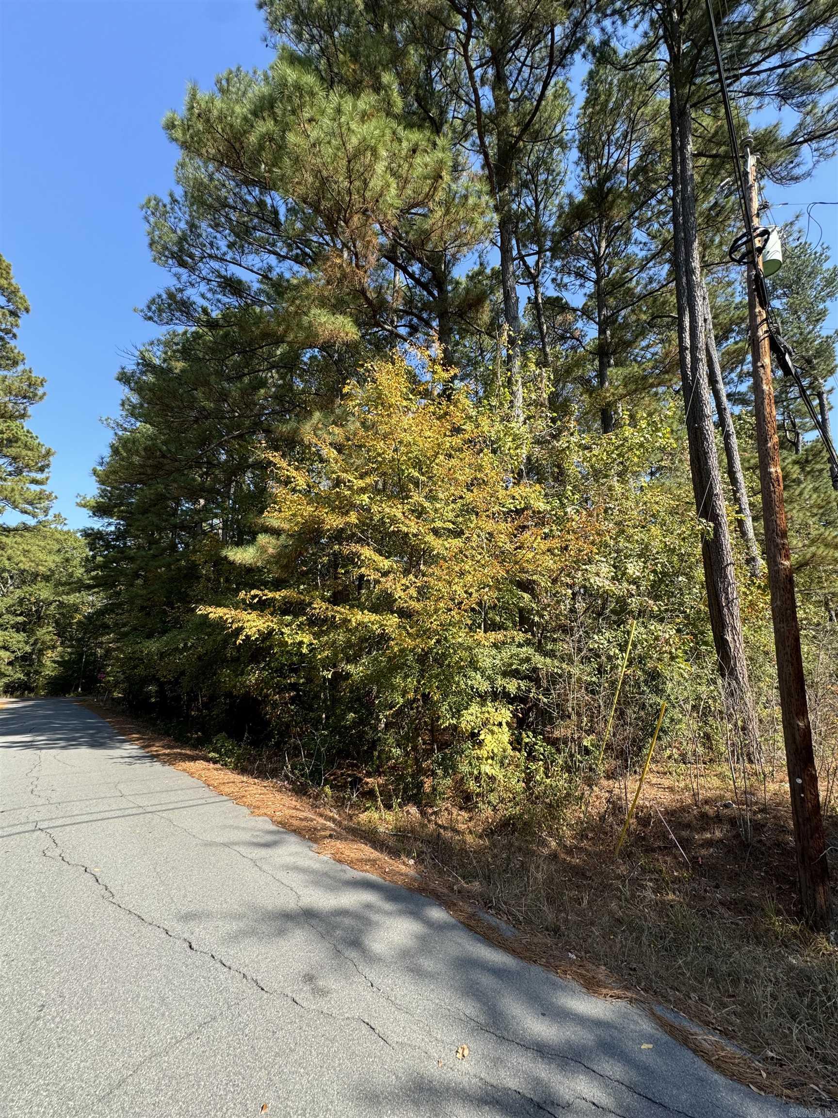 13765  Shamrock  Shannon Hills, AR