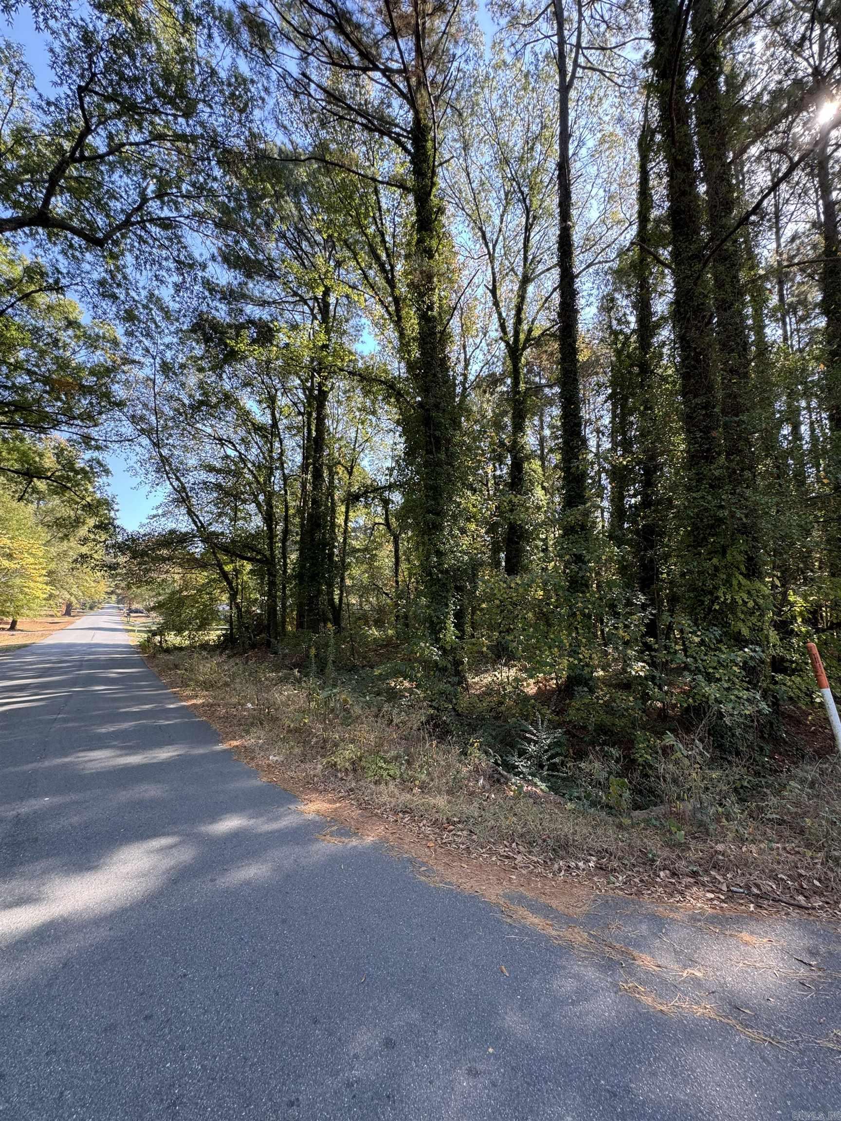 13765  Shamrock  Shannon Hills, AR