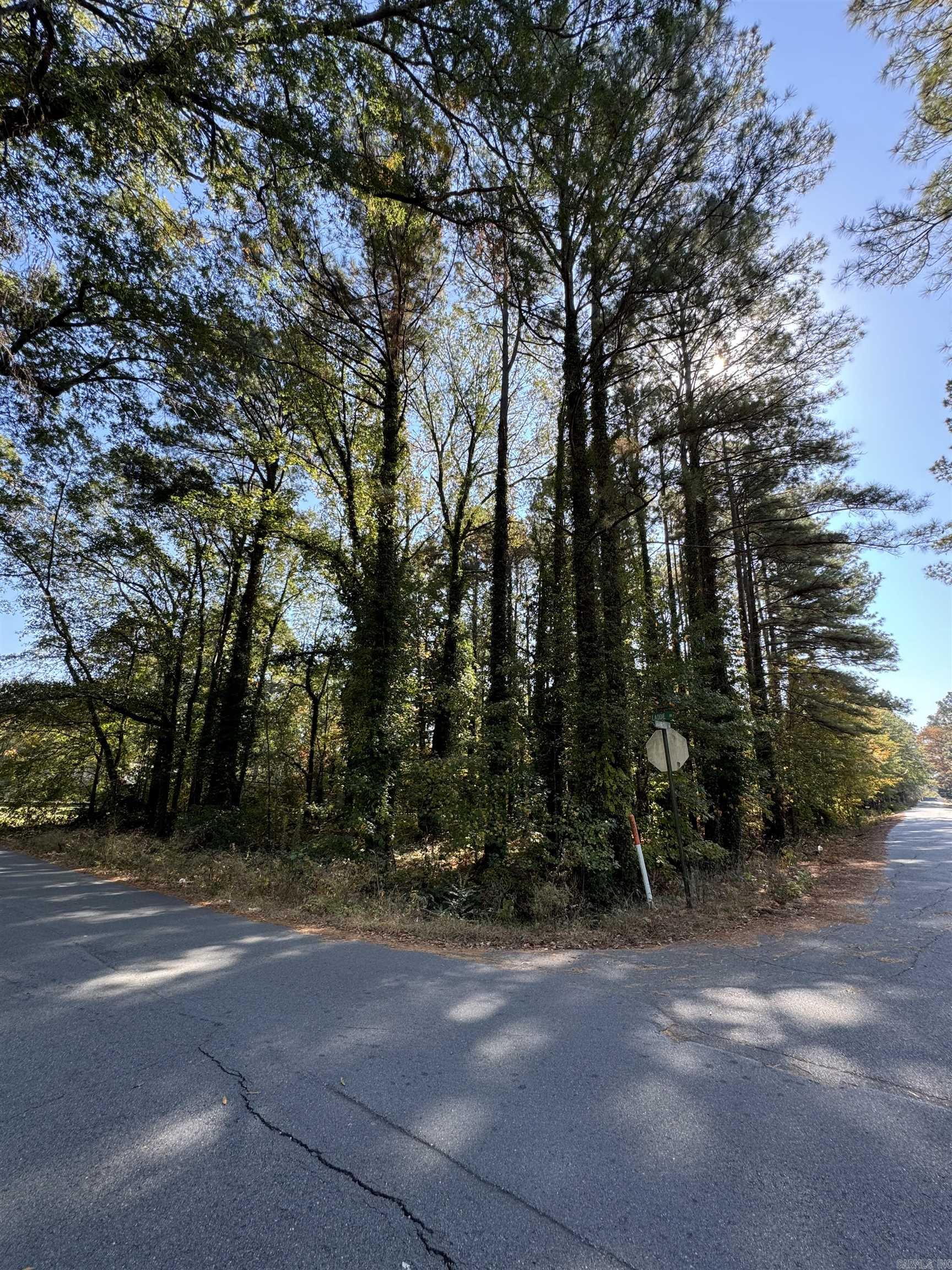 13765  Shamrock  Shannon Hills, AR