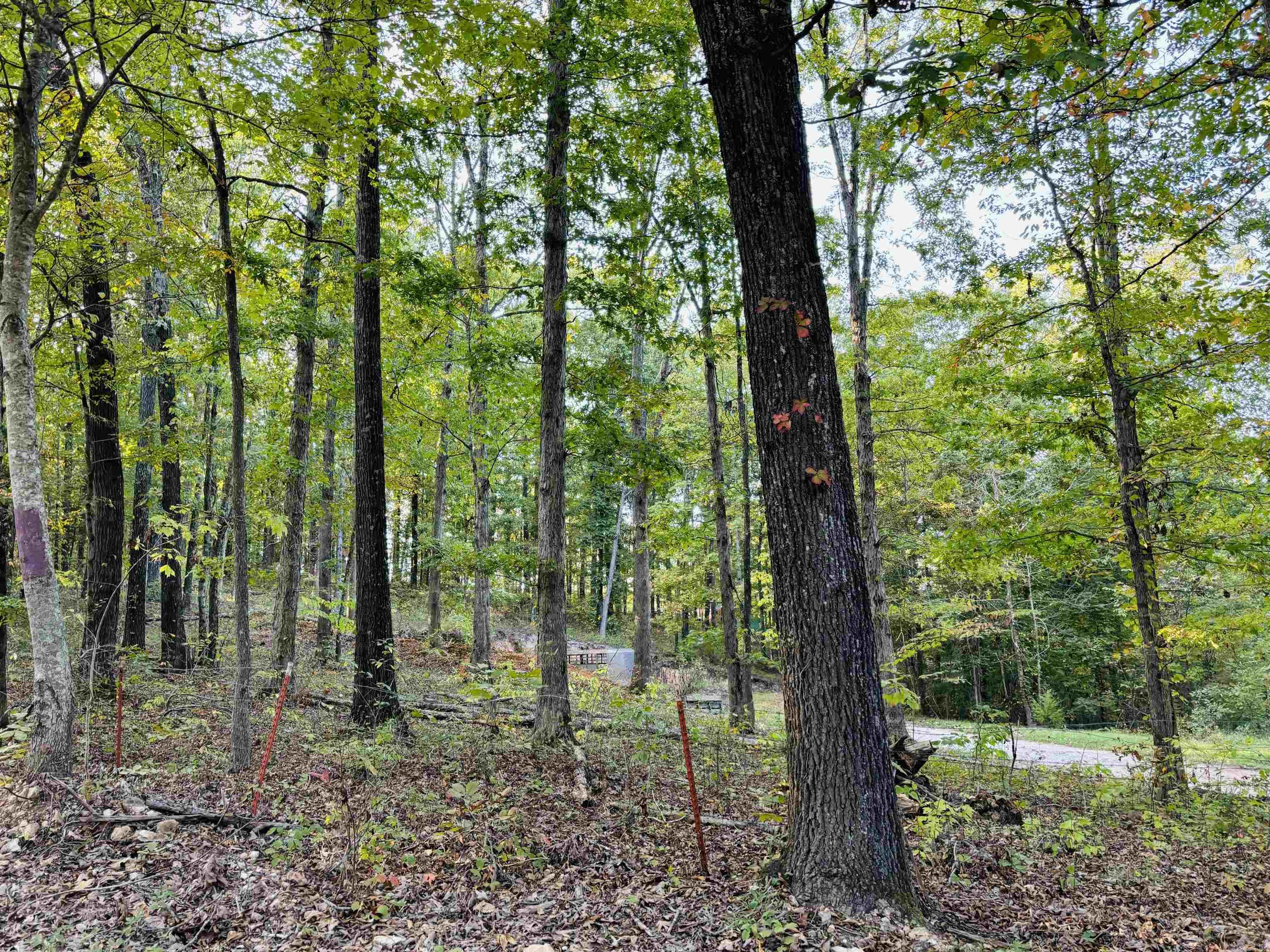 3950  Round Bottom  Mountain View, AR