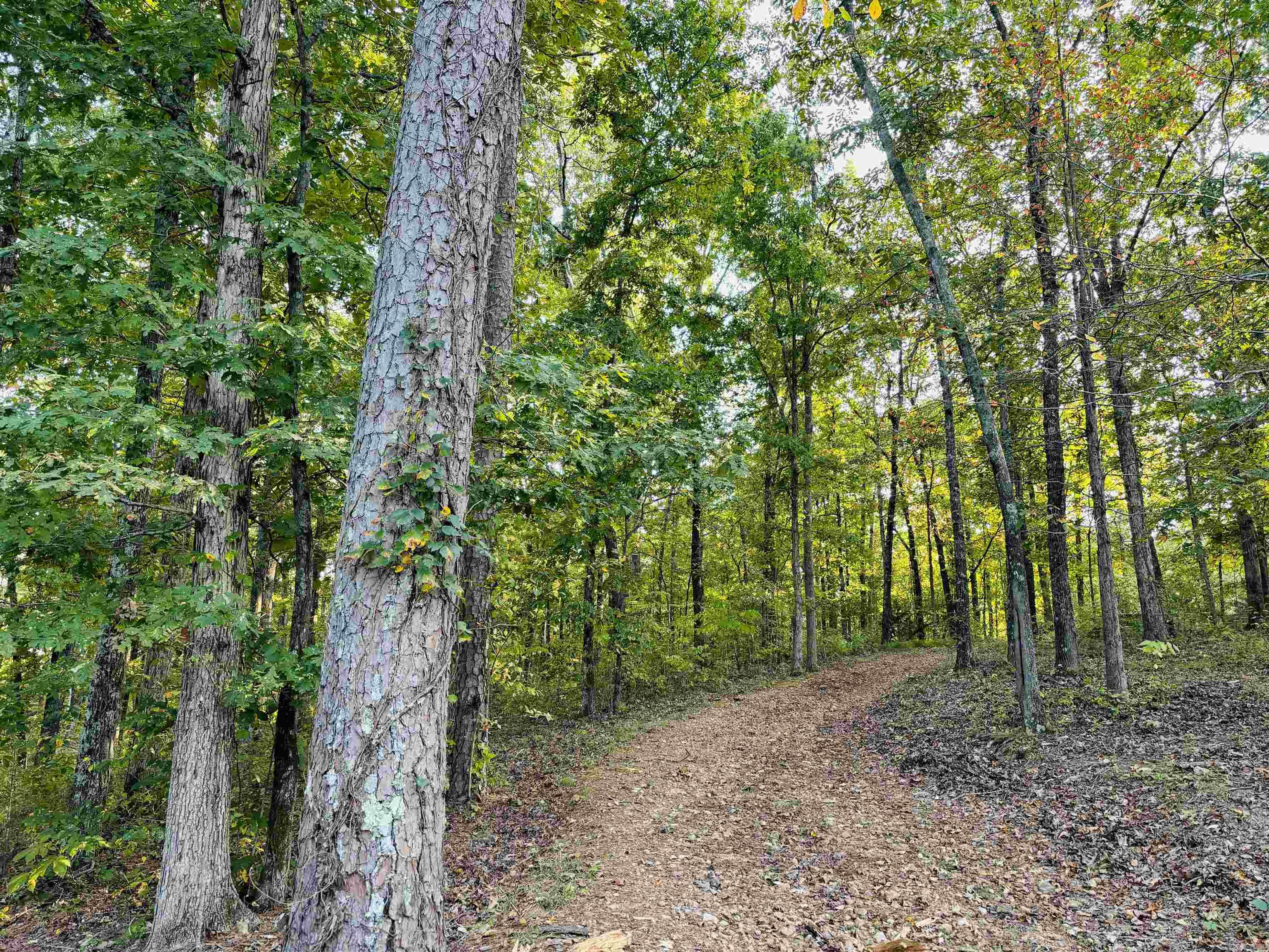 3950  Round Bottom  Mountain View, AR