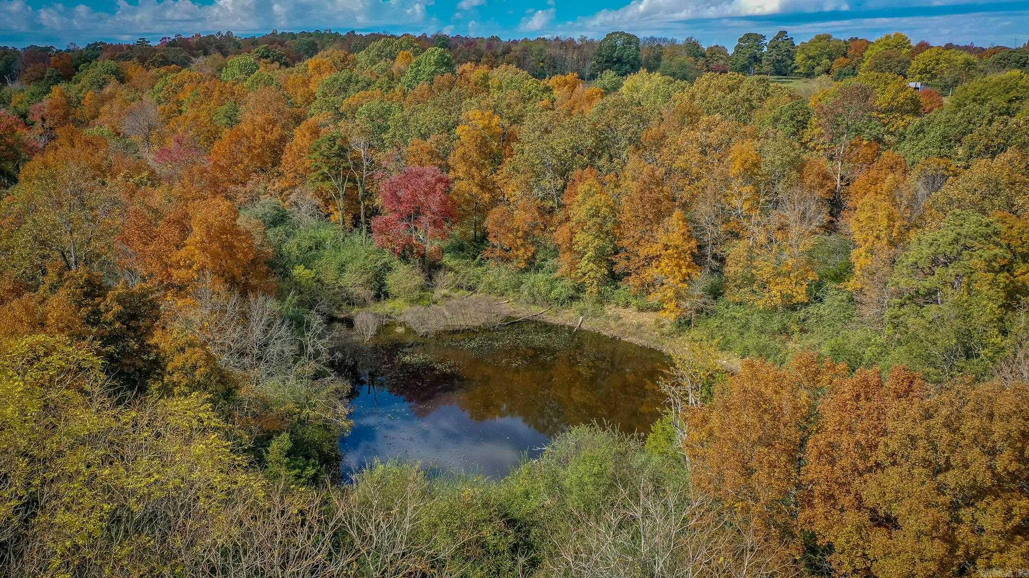 201  Armstrong Lane  Concord, AR