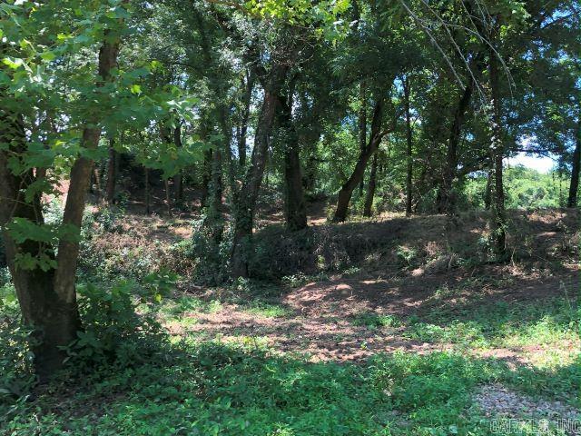 001-04218-002  CR 108  Norfork, AR