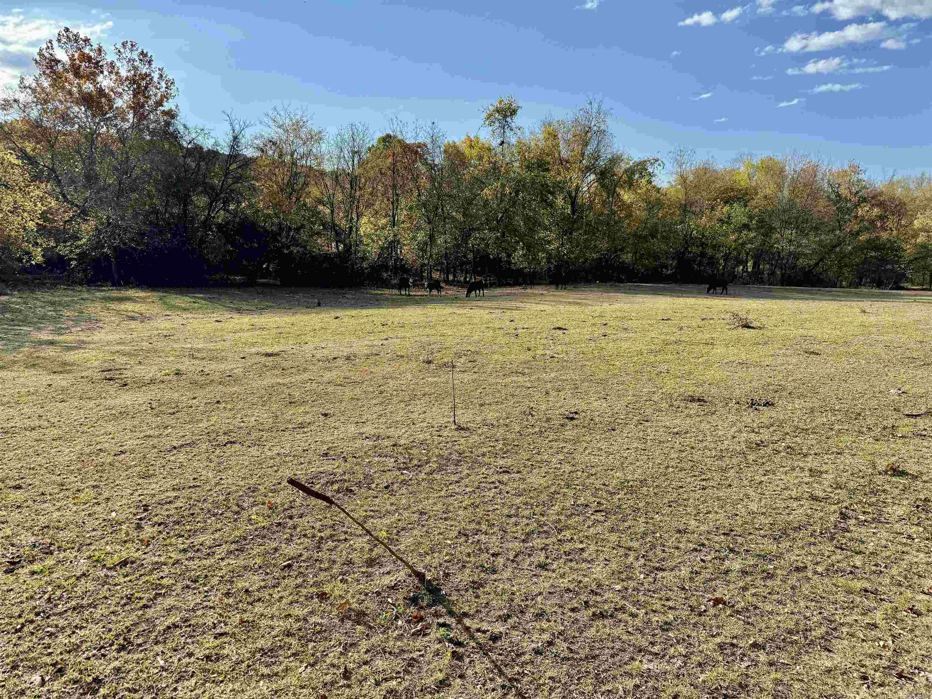 12663  Nicewarner  Lincoln, AR