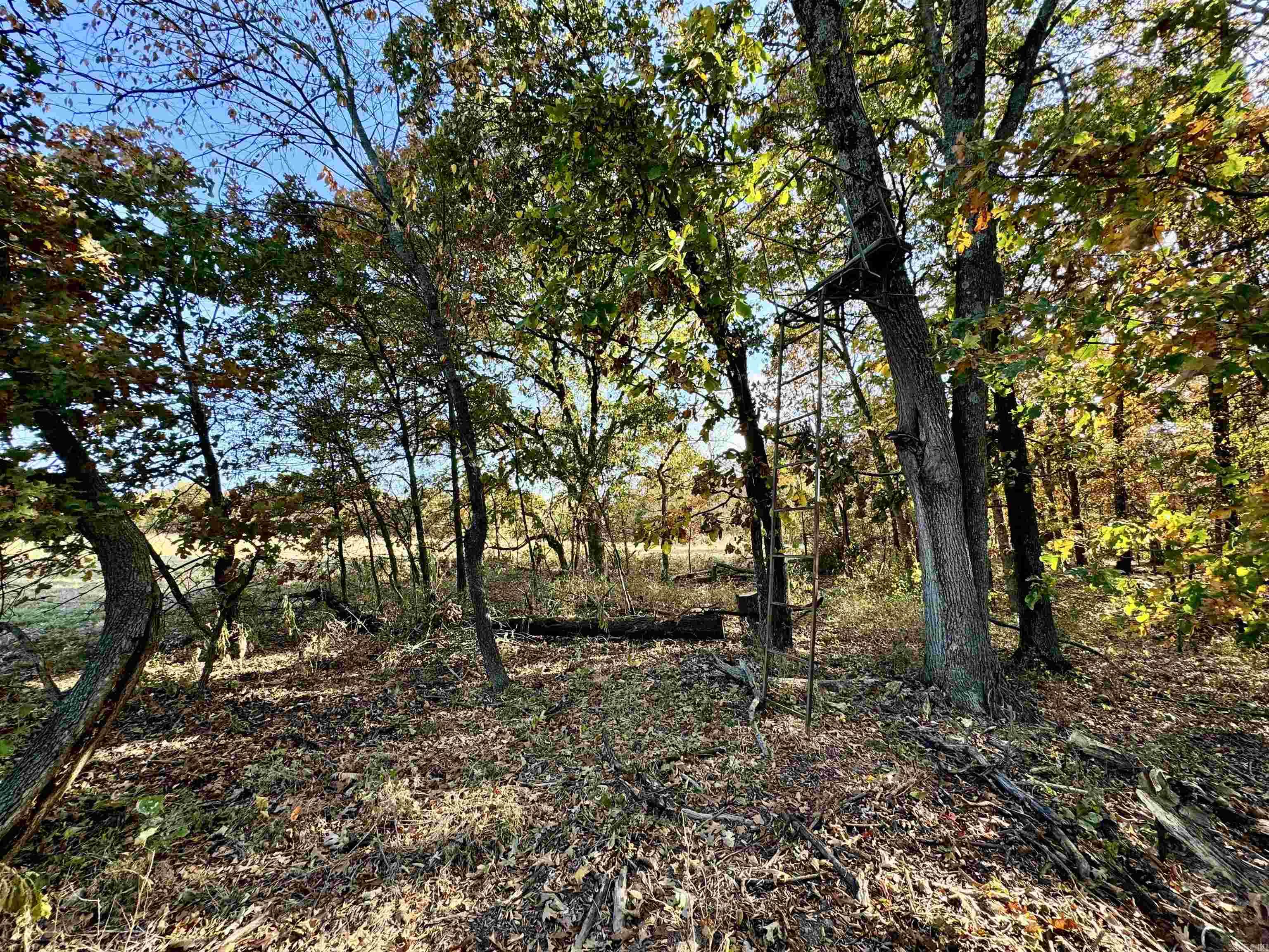 12663  Nicewarner  Lincoln, AR