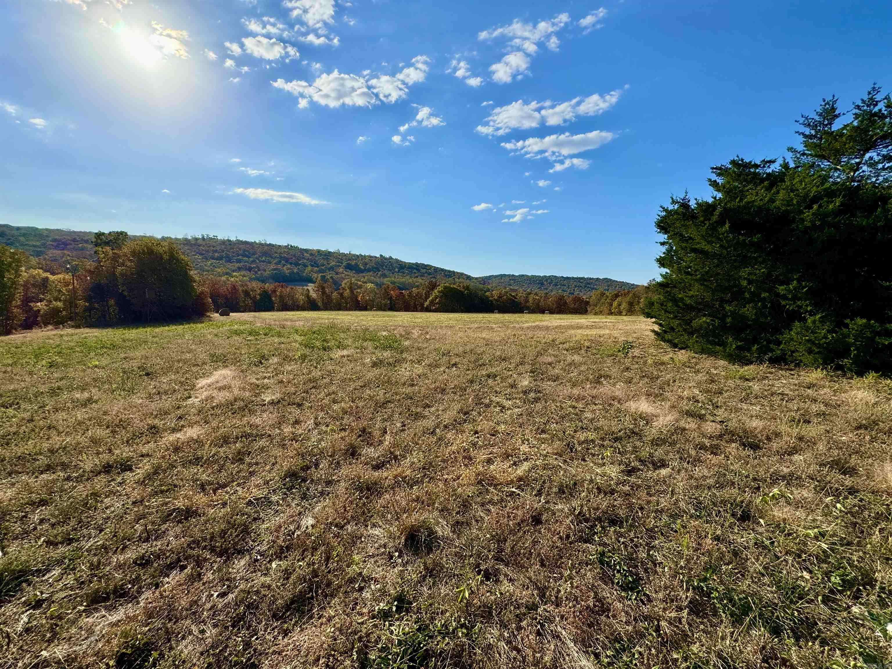 12663  Nicewarner  Lincoln, AR