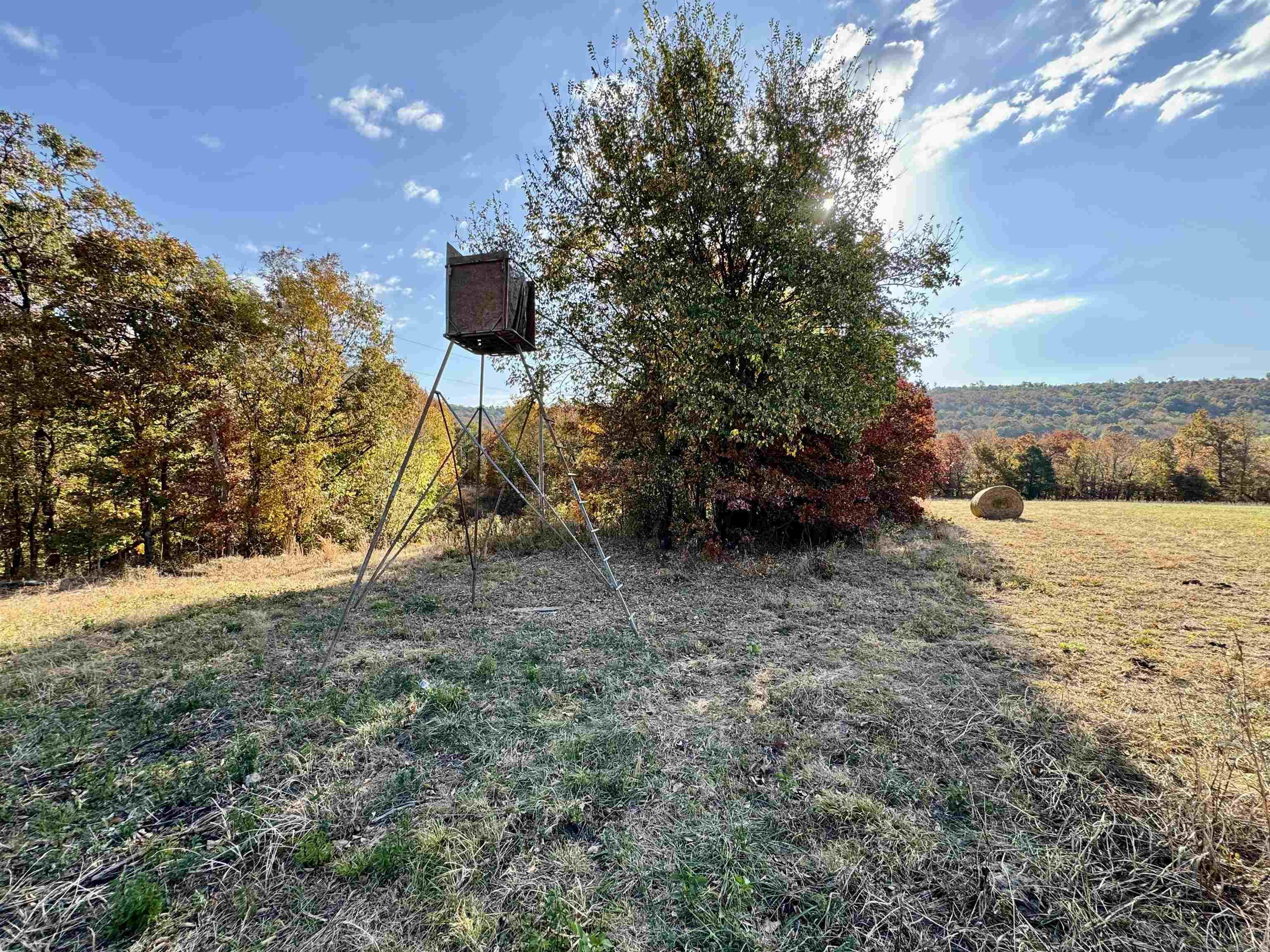 12663  Nicewarner  Lincoln, AR