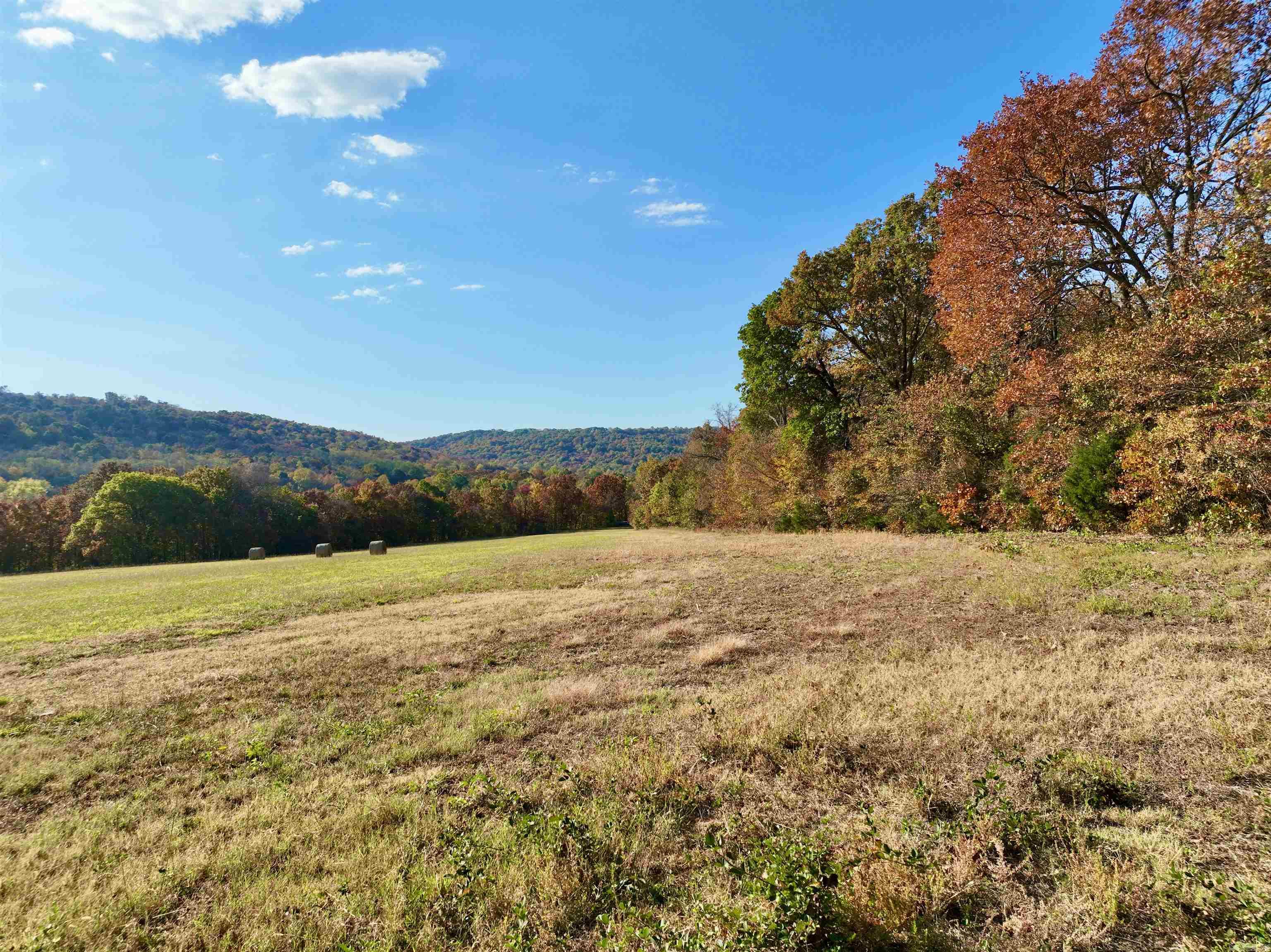 12663  Nicewarner  Lincoln, AR