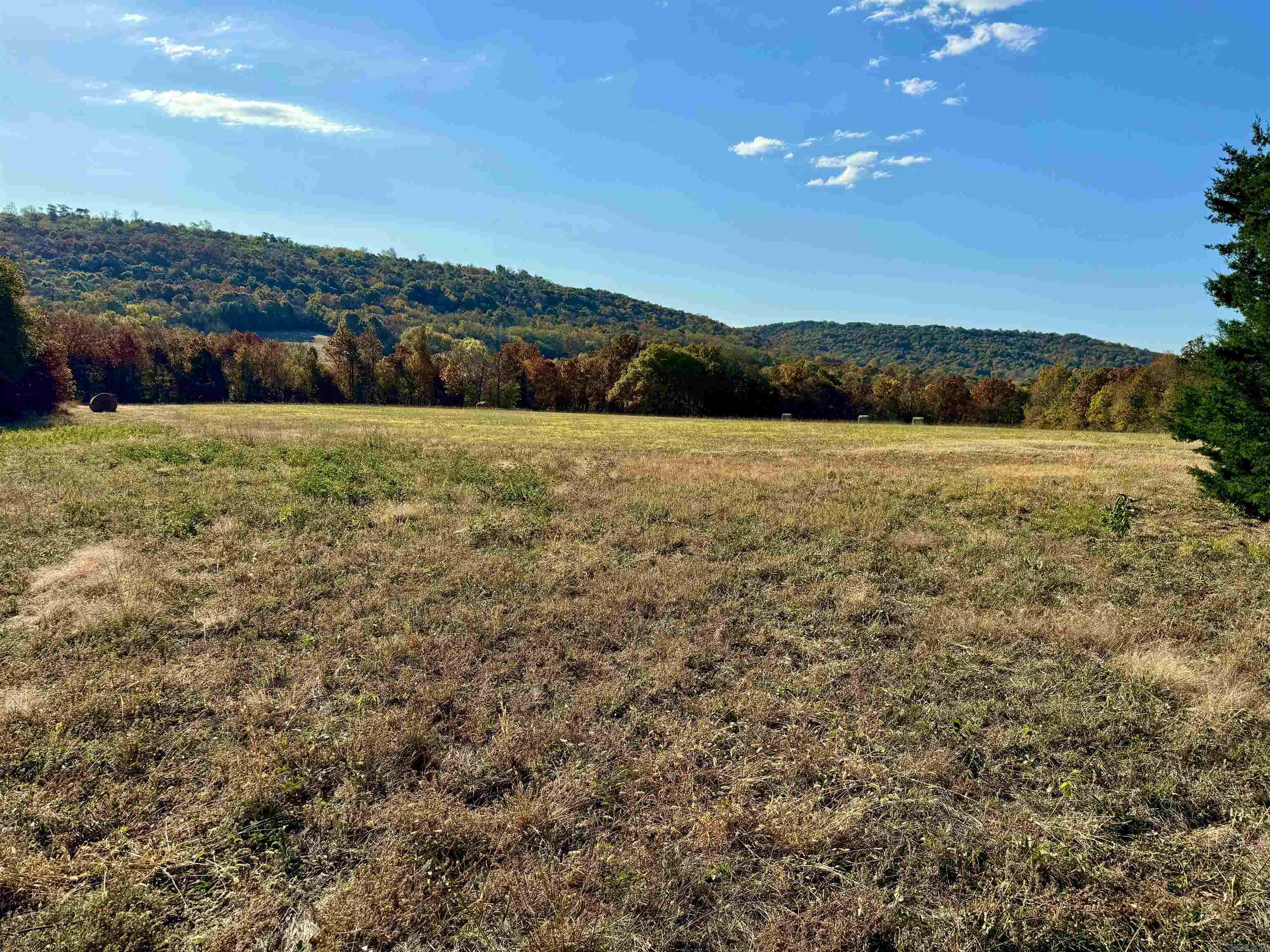 12663  Nicewarner  Lincoln, AR