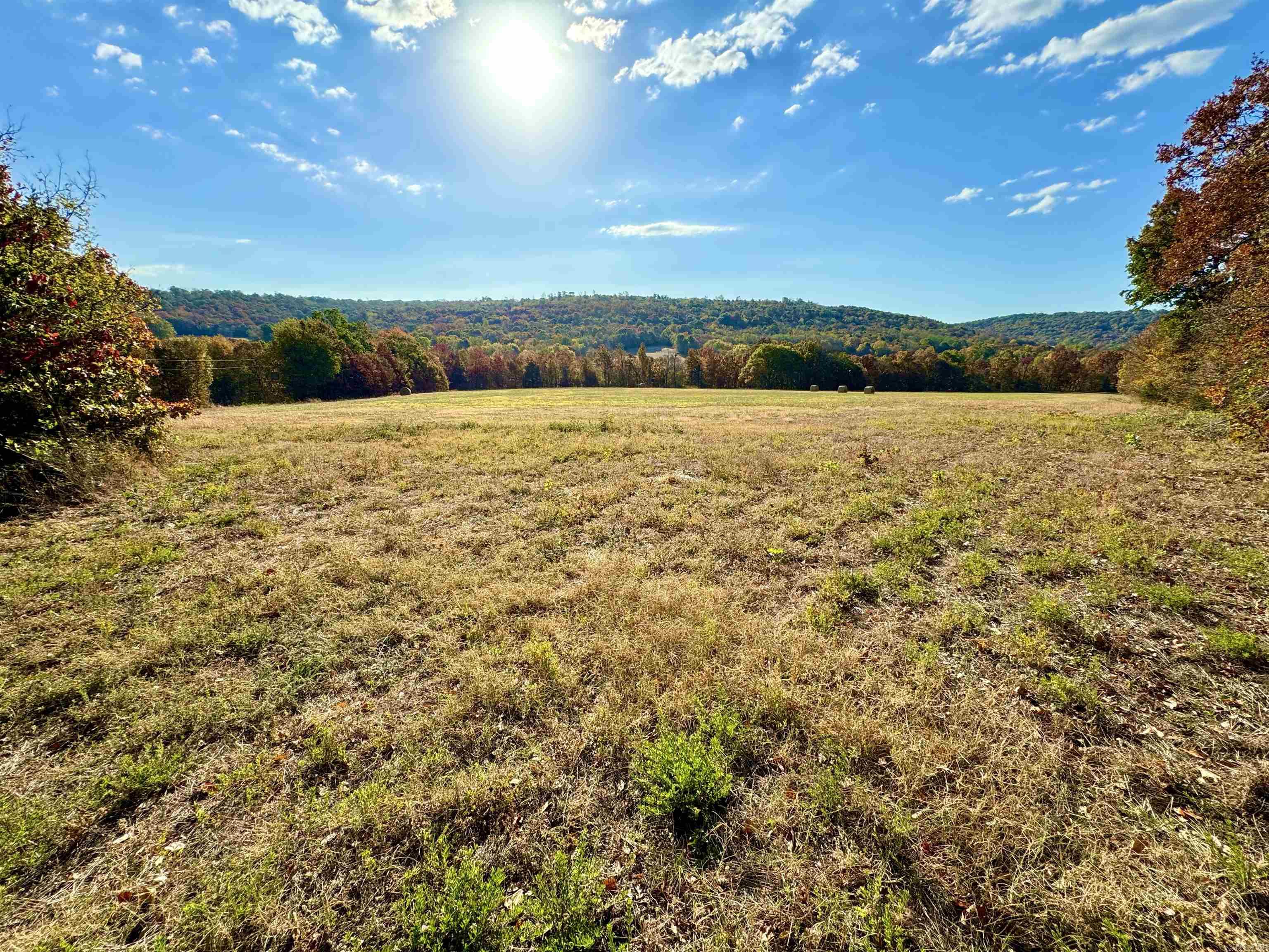 12663  Nicewarner  Lincoln, AR