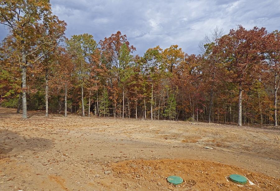 134  Backbone  Evening Shade, AR