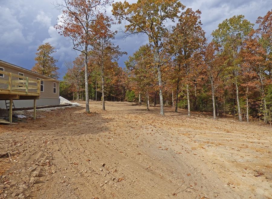 134  Backbone  Evening Shade, AR