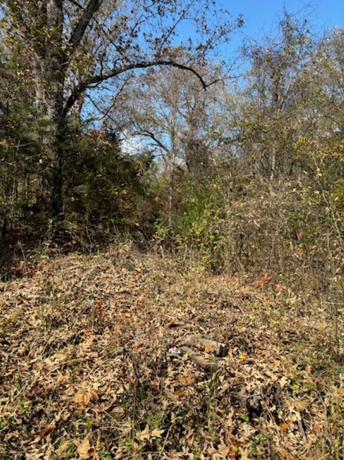 Lot 29  Walnut Cove  Hardy, AR