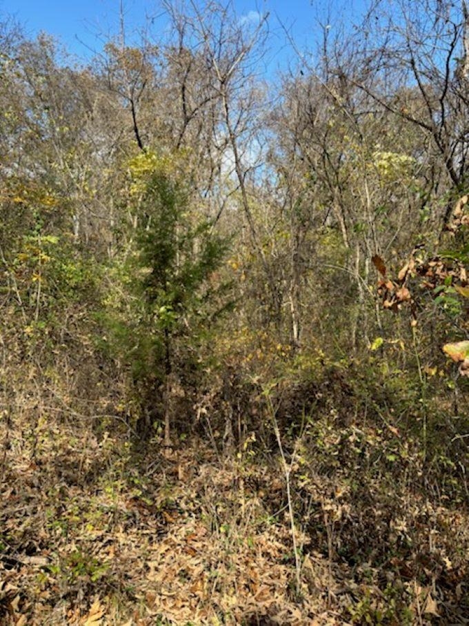 Lot 29  Walnut Cove  Hardy, AR