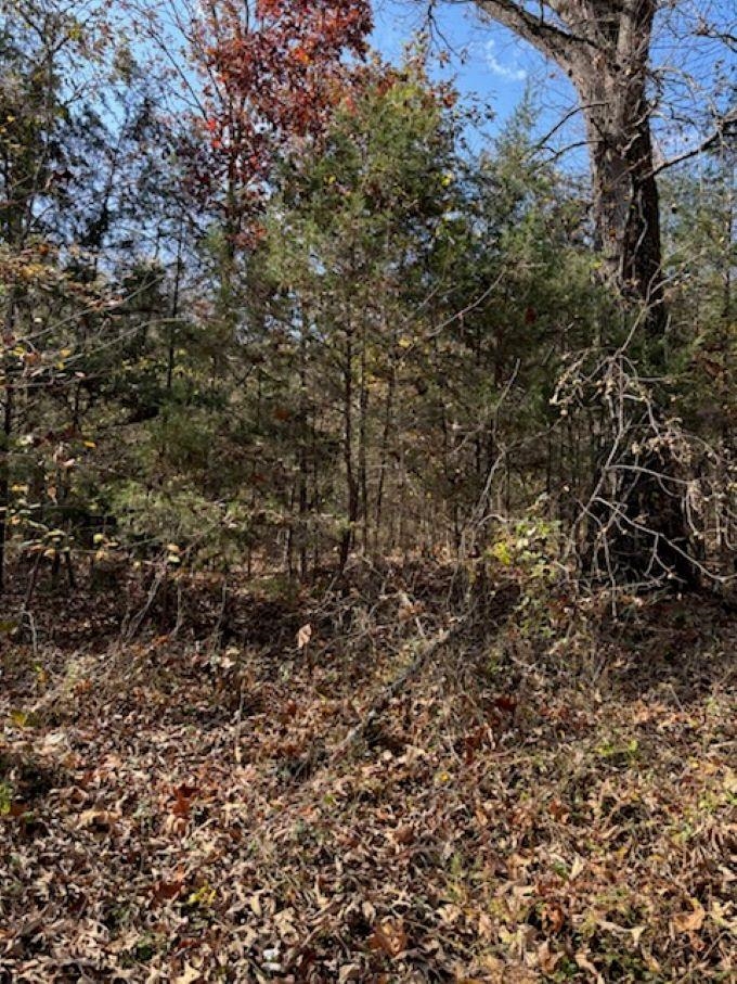 Lot 29  Walnut Cove  Hardy, AR