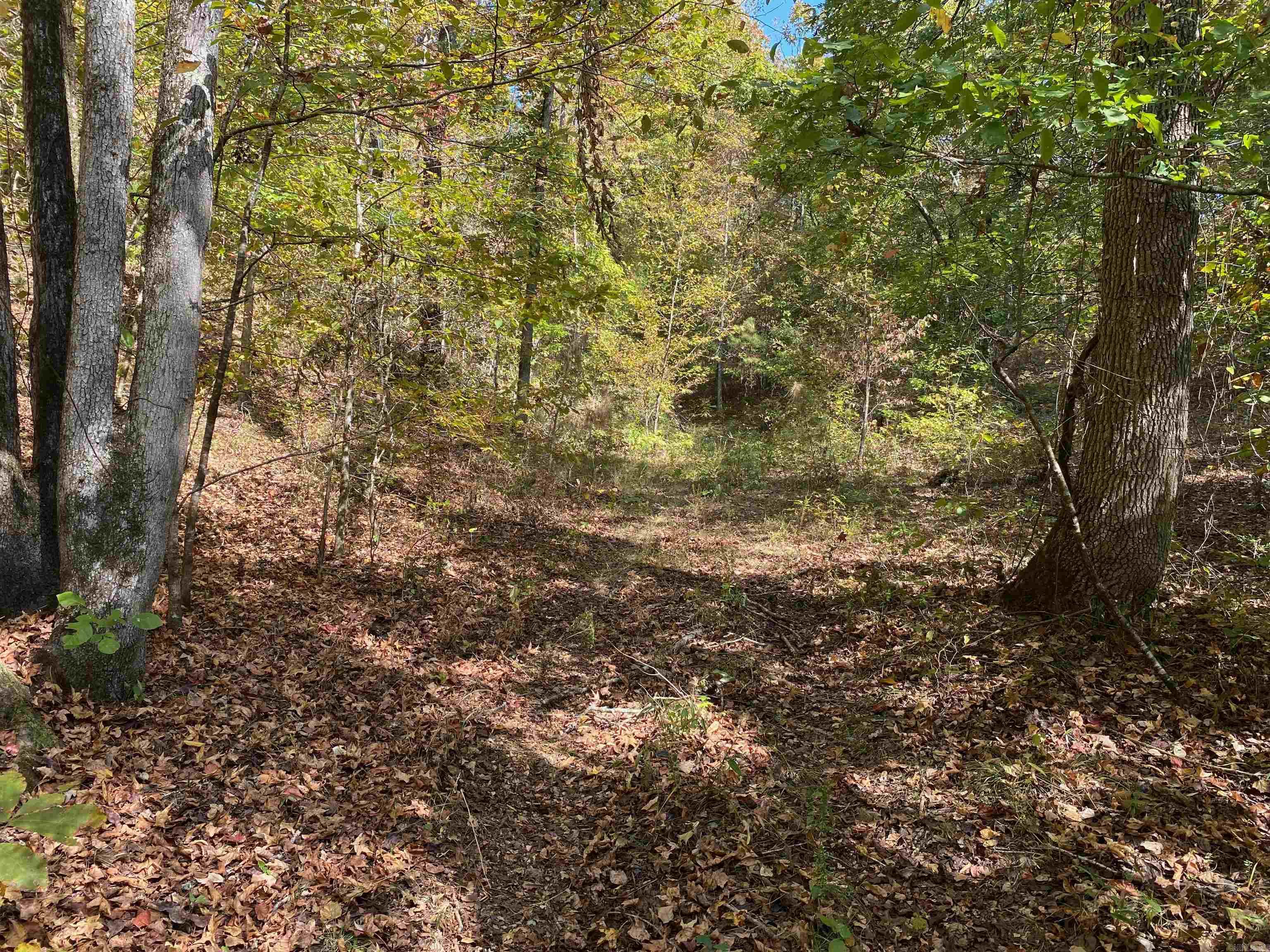 6336  Old Dallas  Norman, AR