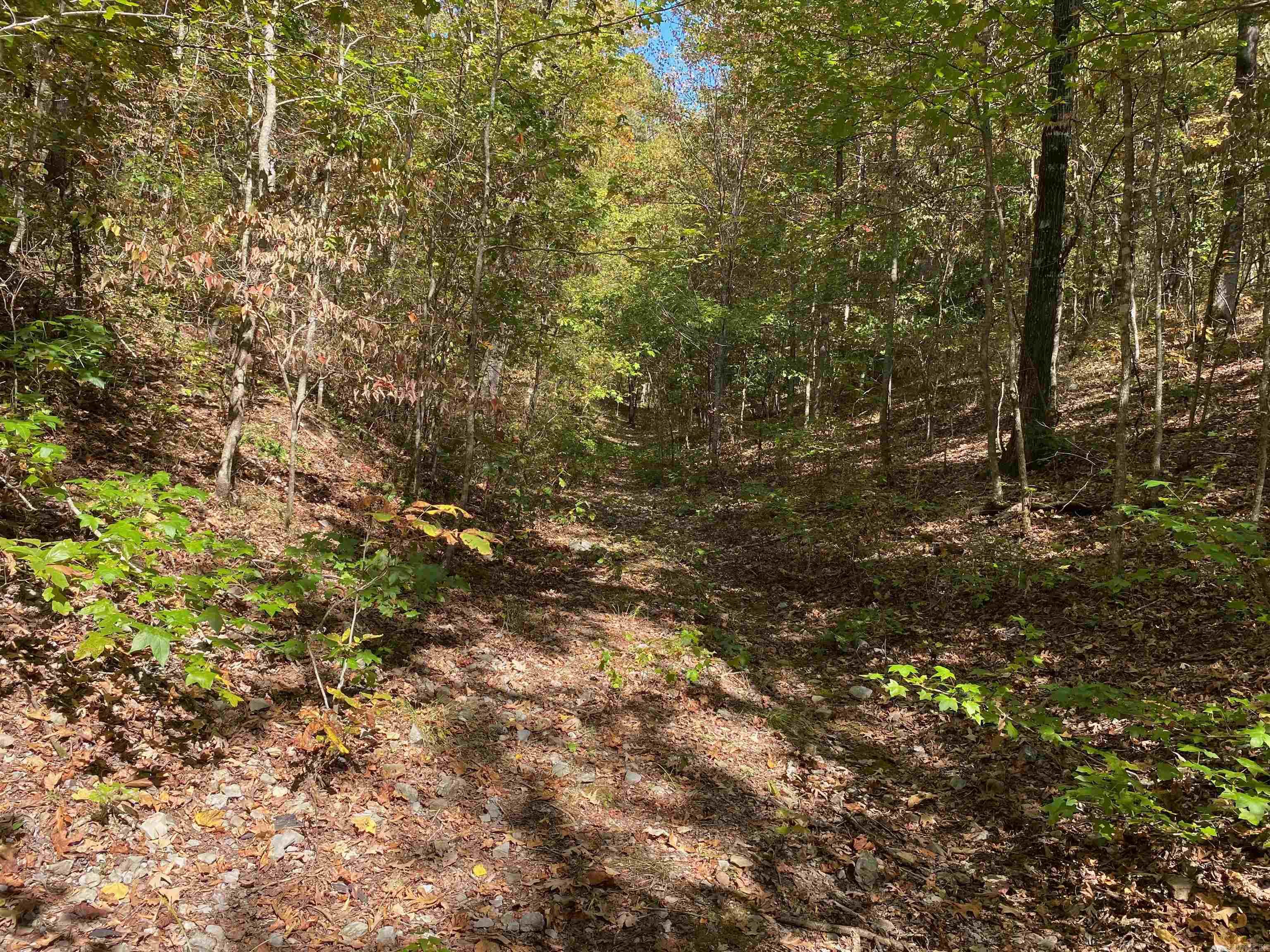 6336  Old Dallas  Norman, AR