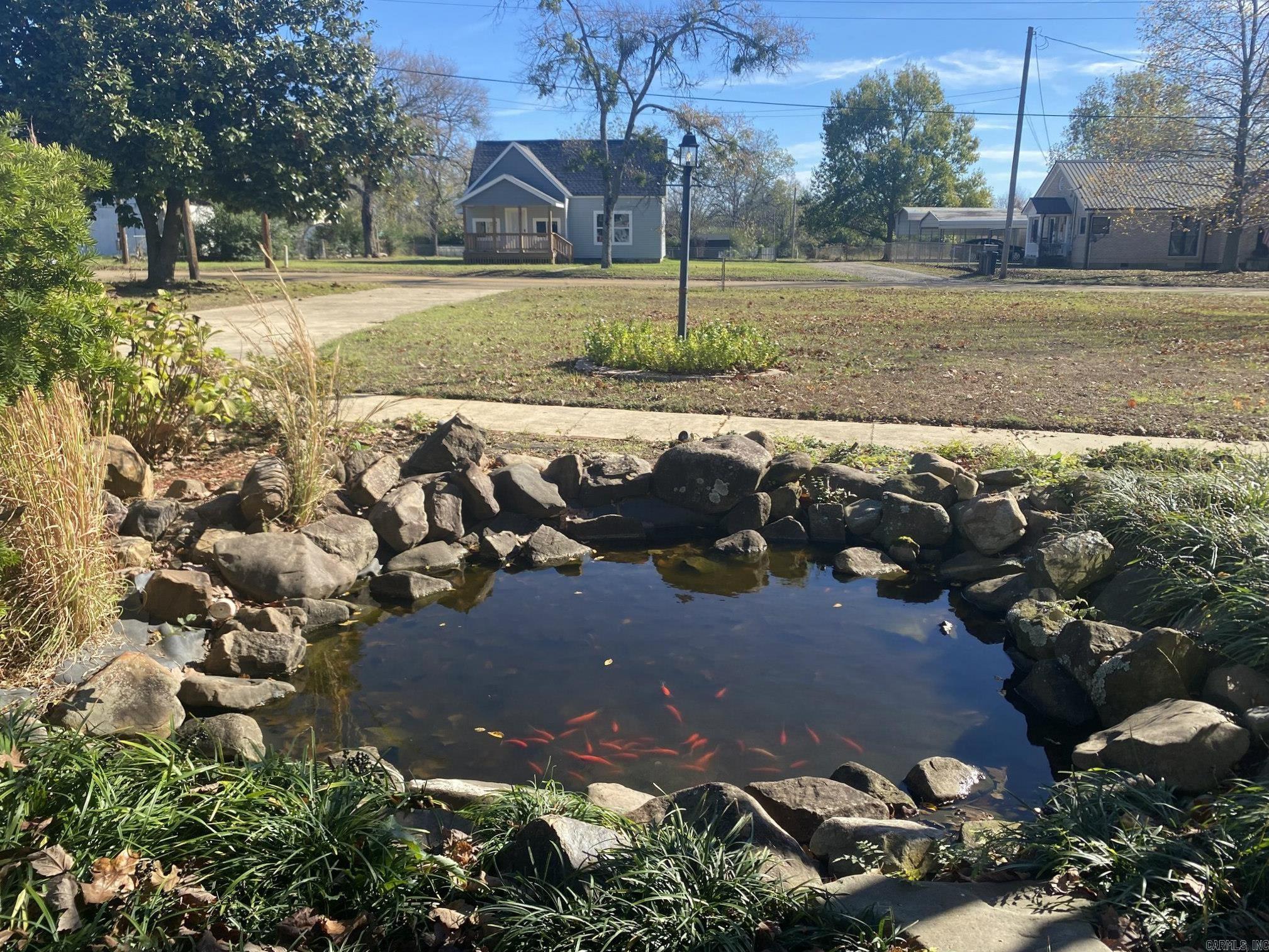 301 Reine St Mena, AR 71953
