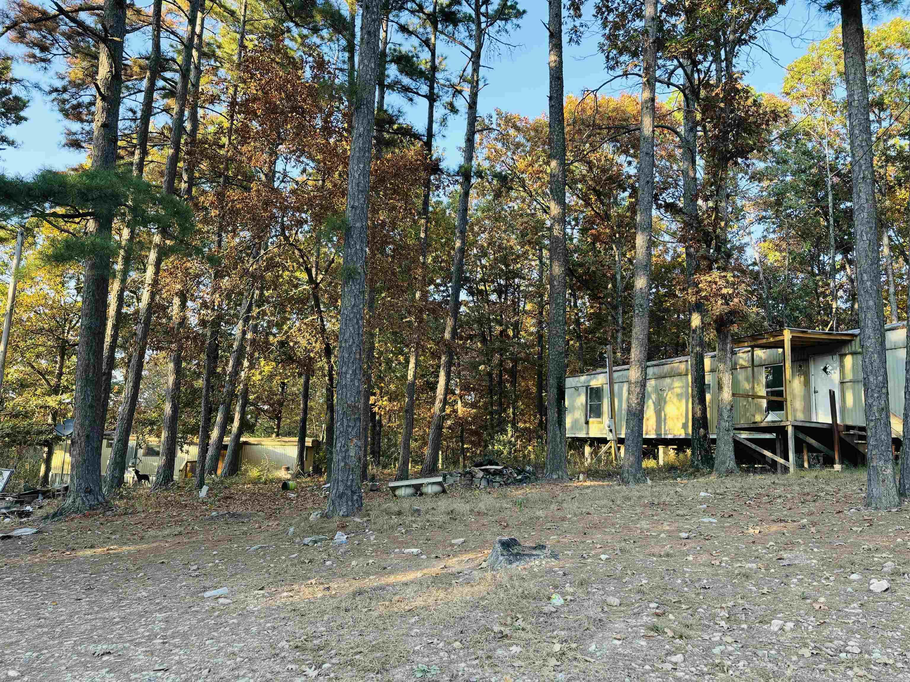 130 & 144  Cochise  Mountain View, AR