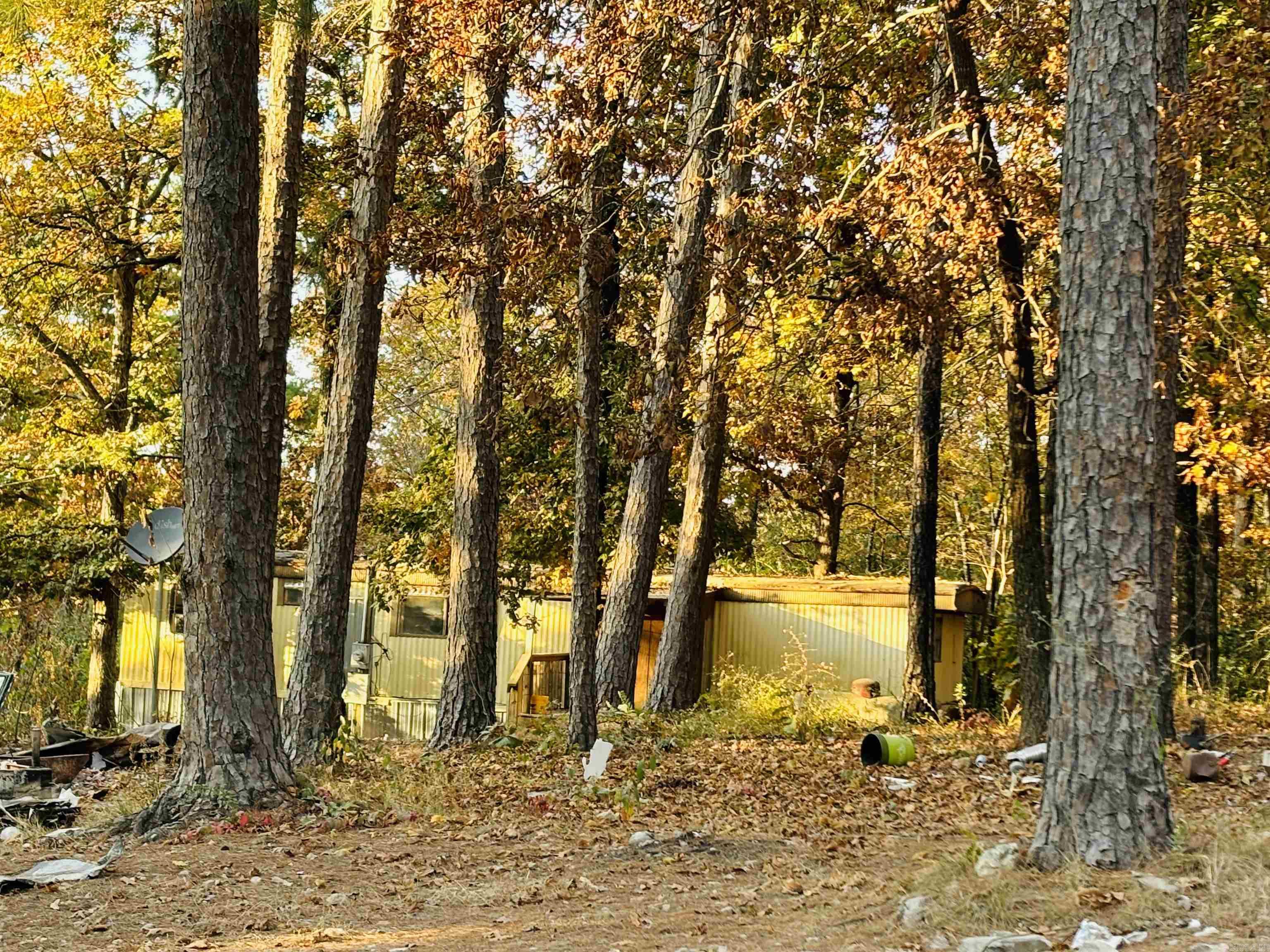 130 & 144  Cochise  Mountain View, AR