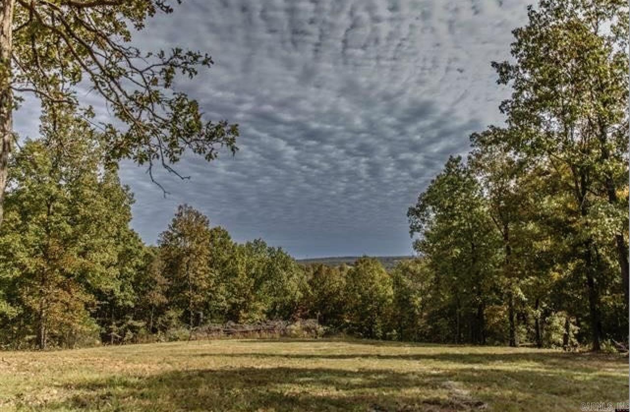 38  Oakridge  Gepp, AR