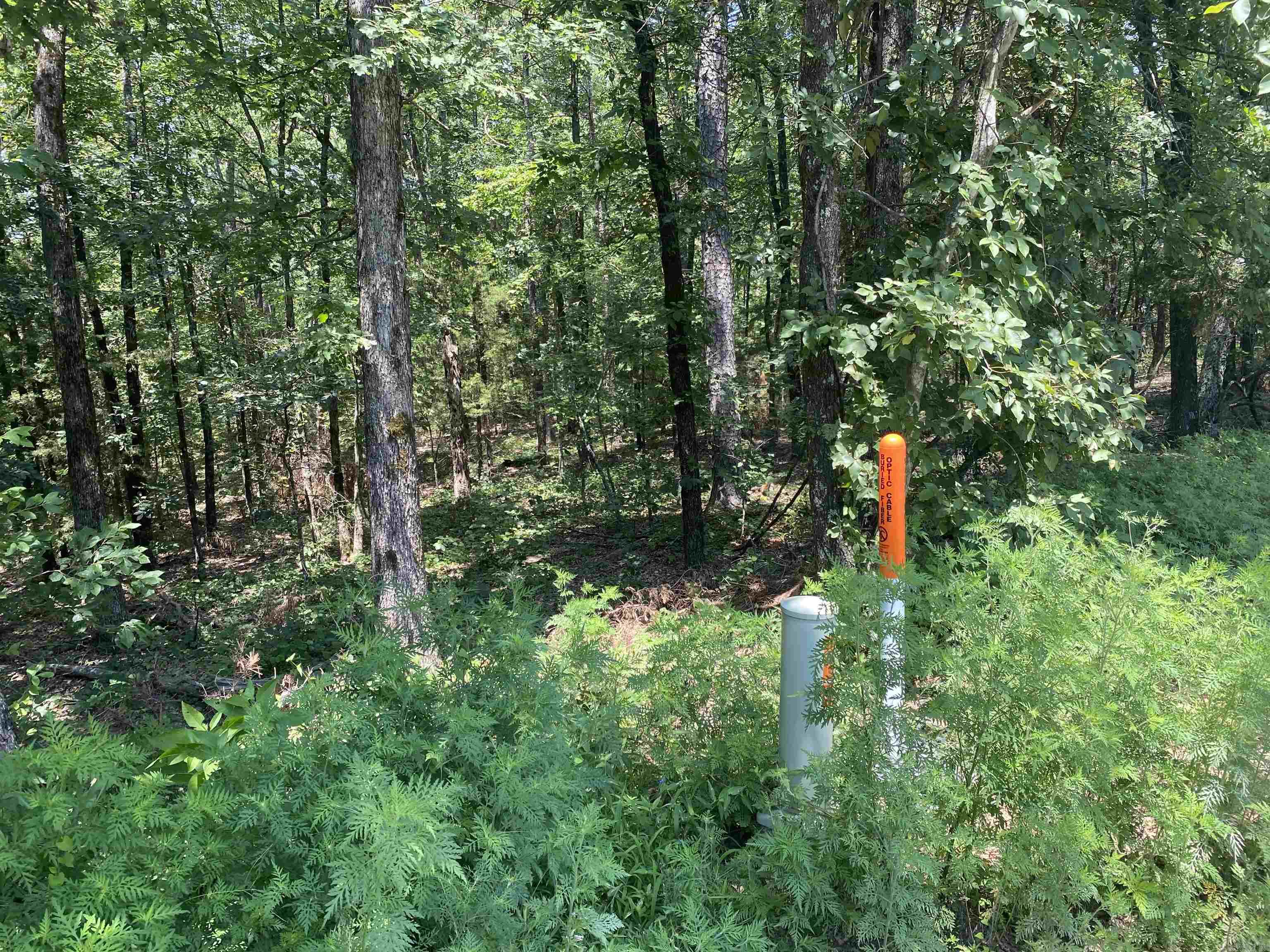 00  Rock Hill  Fairfield Bay, AR
