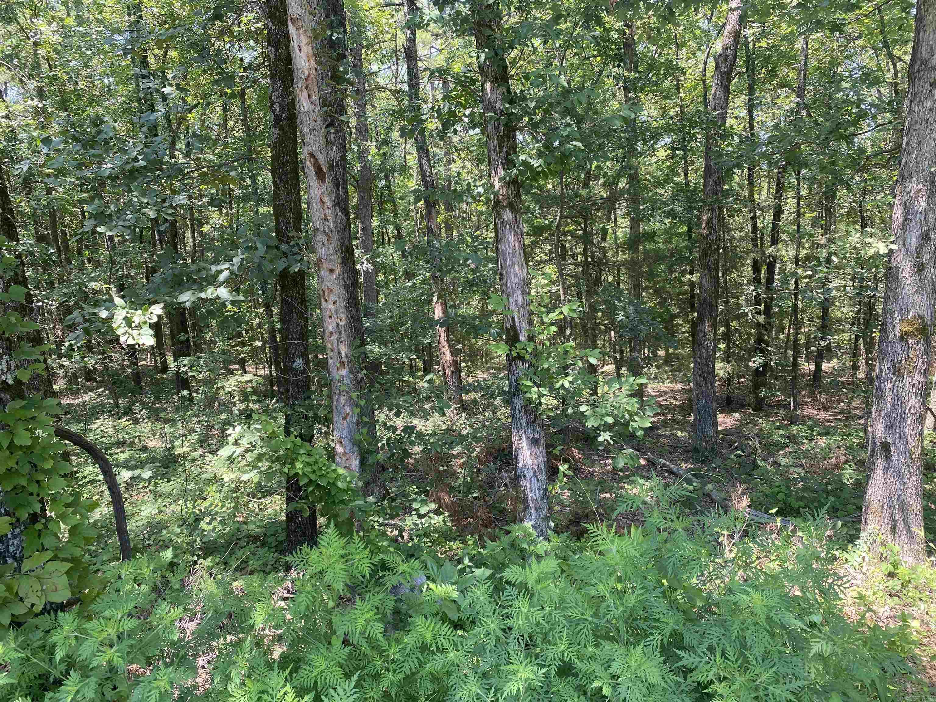 00  Rock Hill  Fairfield Bay, AR