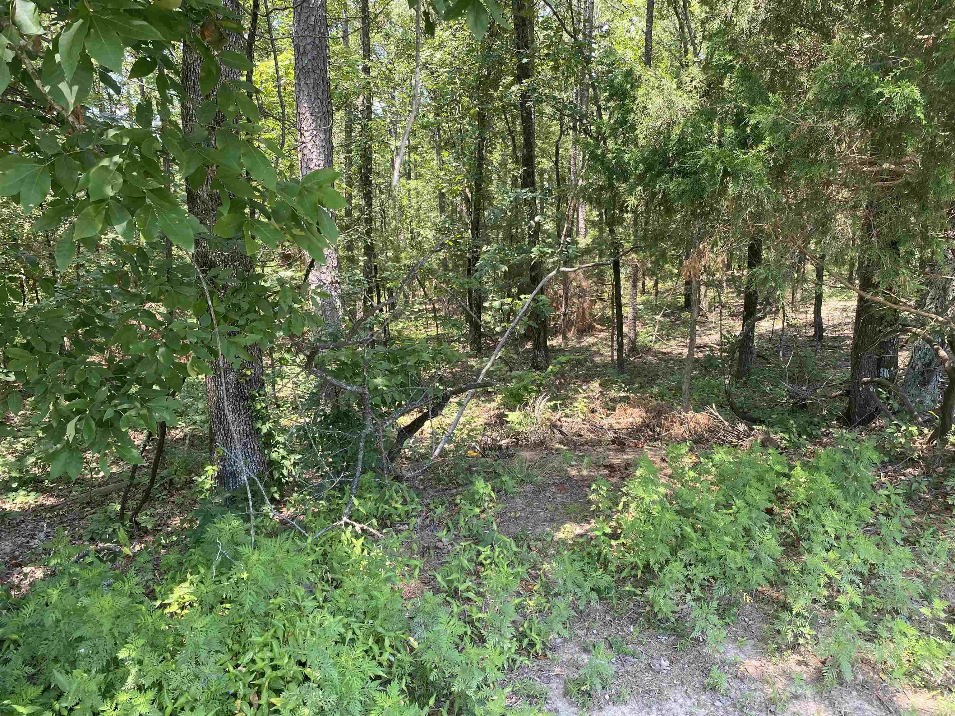 00  Rock Hill  Fairfield Bay, AR