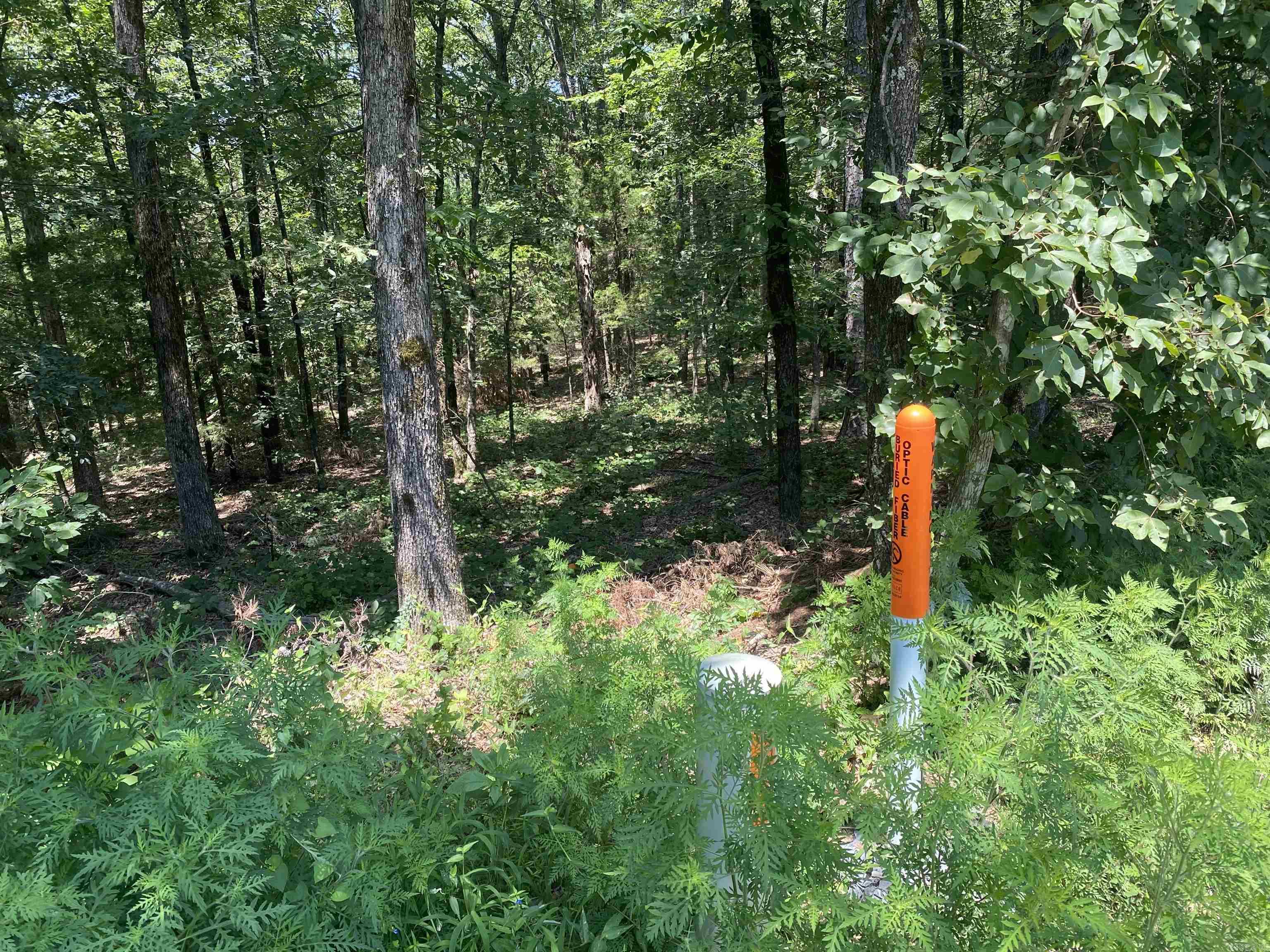 00  Rock Hill  Fairfield Bay, AR