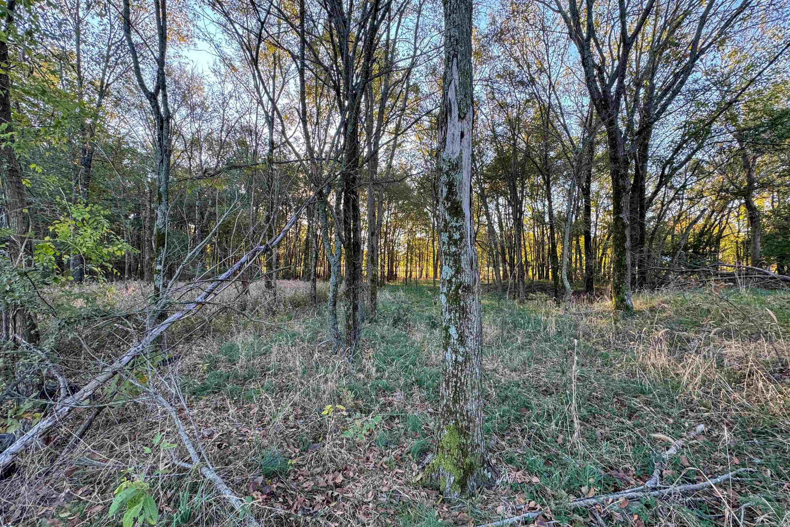 1616  SFC 935  Brinkley, AR