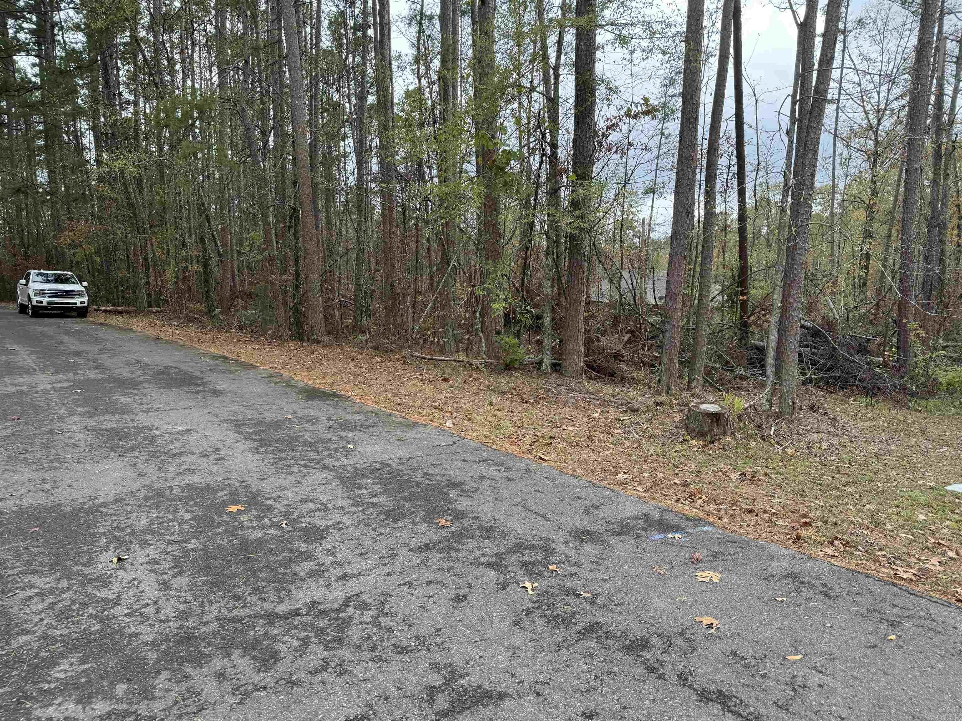 7  MANO LANE  Hot Springs Village, AR