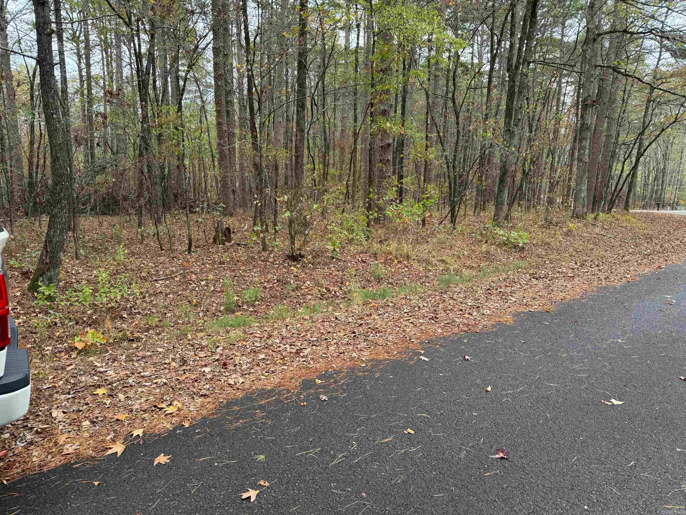 16  CAMPO WAY  Hot Springs Village, AR