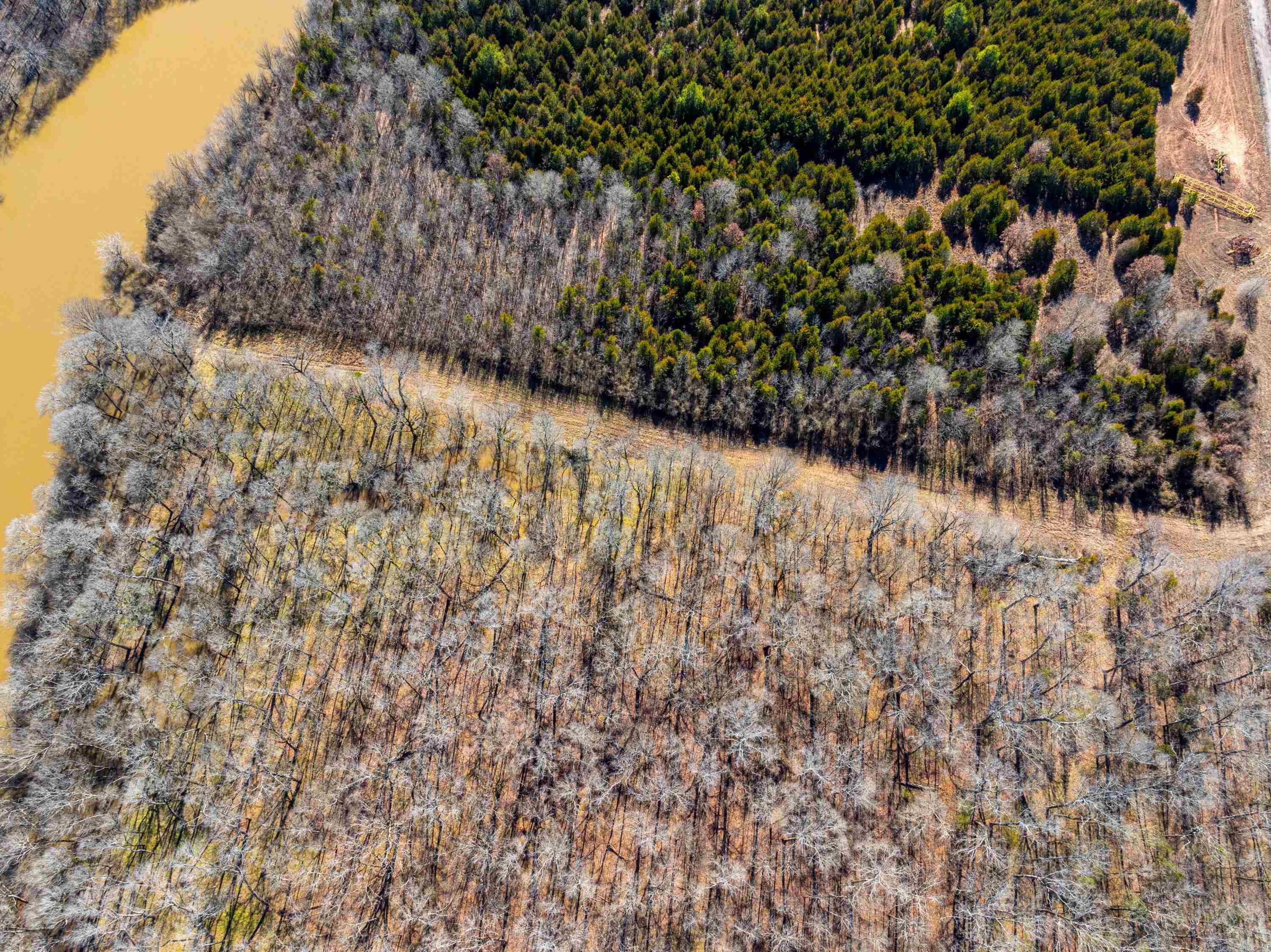   Taylor Cir  Conway, AR